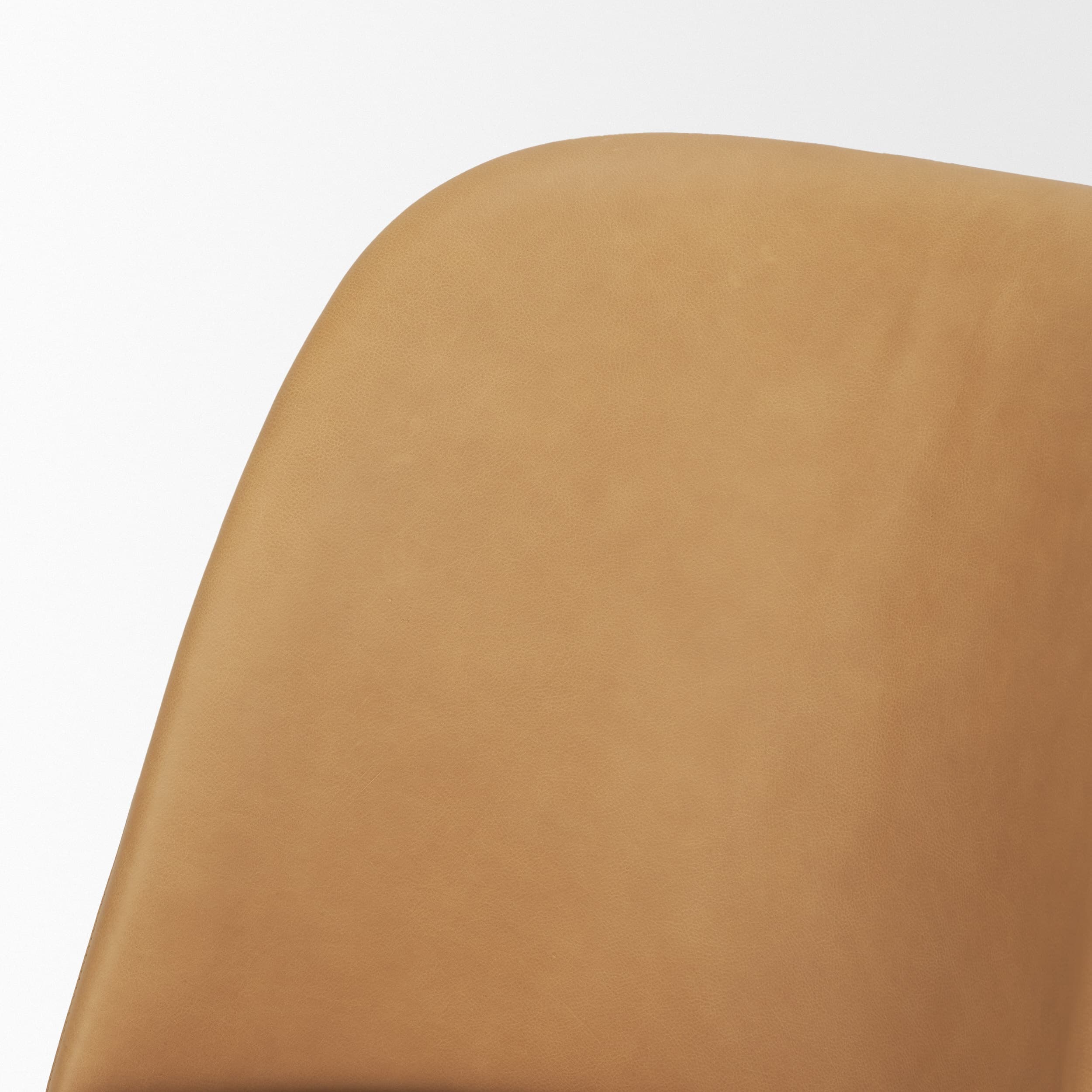 Abbie Curved Back Dining Side Chair | Tan Leather w/ Brown Wood — product photograph