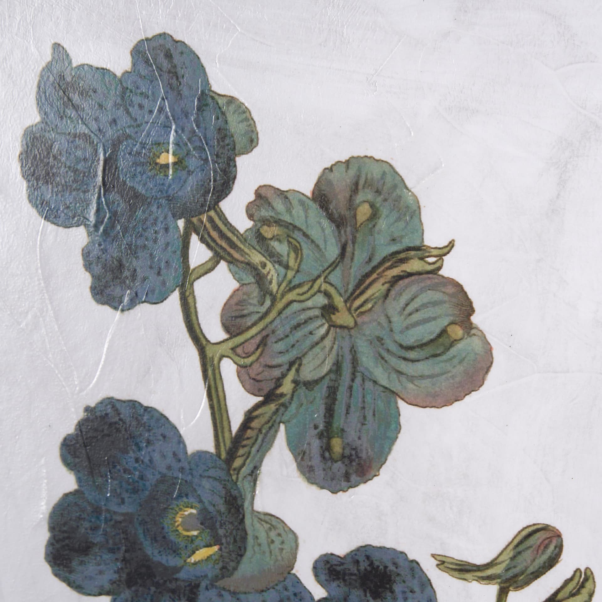 Soft Blue Botanoicals V by Mercana Studio Hand Embellished Framed Art Print Matted under Glass — product photograph