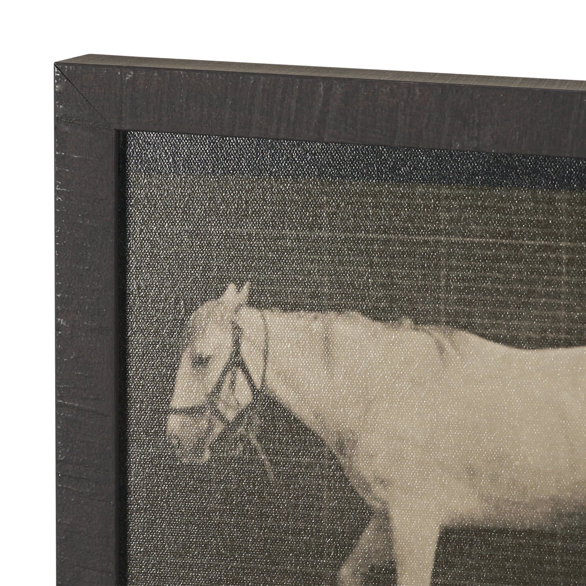 Walking Free by Eadweard Muybridge Textured Framed CanvasPhoto Print — product photograph