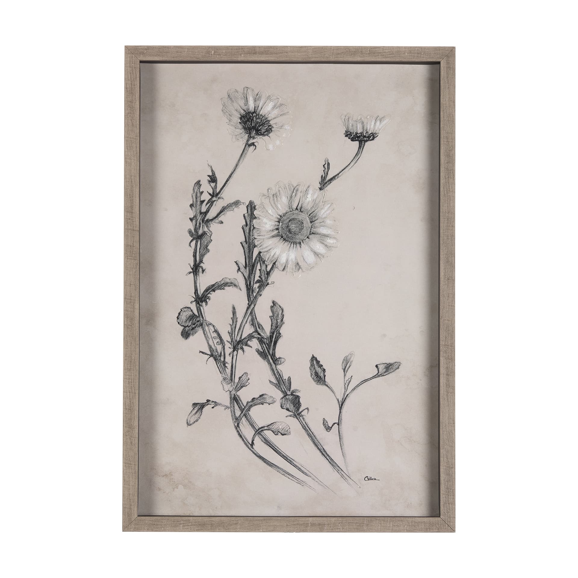 Chamomile Drawing I by Mercana Studio Hand Embellished Textured Framed Art Print Matted under Glass — product photograph