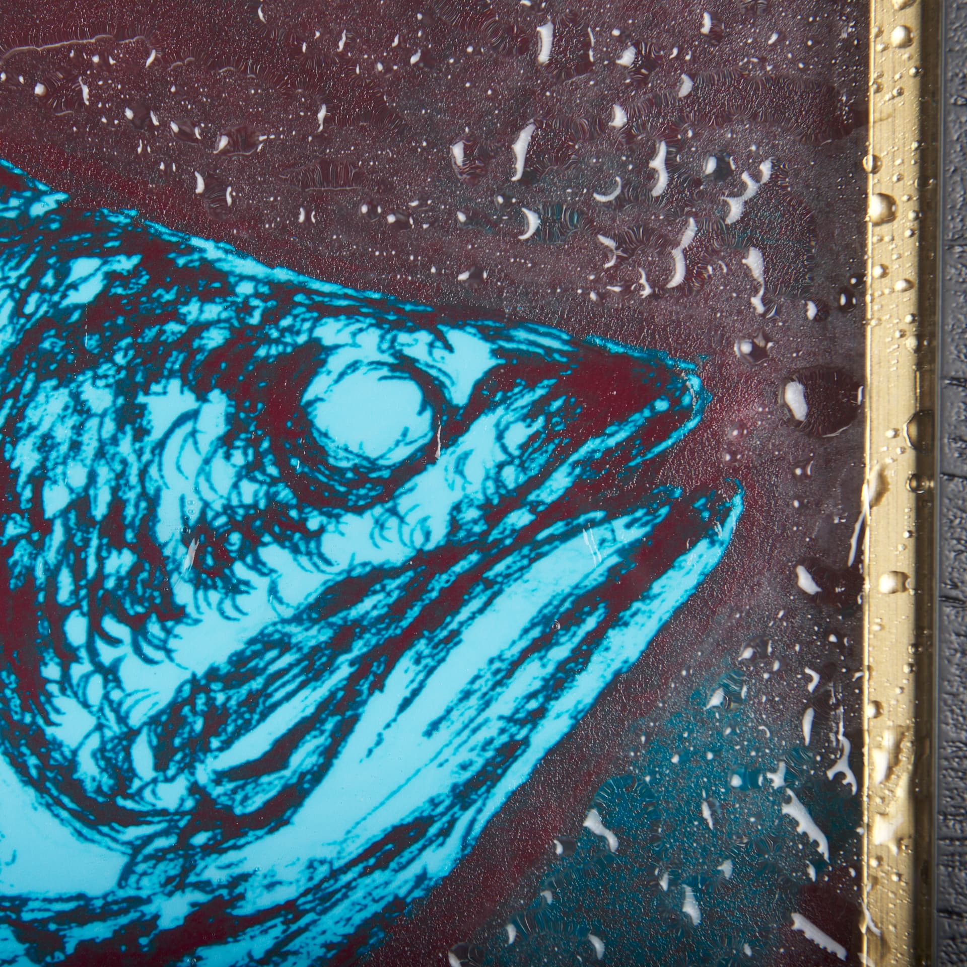 Largemouth Bass Turquoise by Mercana Studio a Hand Embellished Textured Framed Art Print — product photograph
