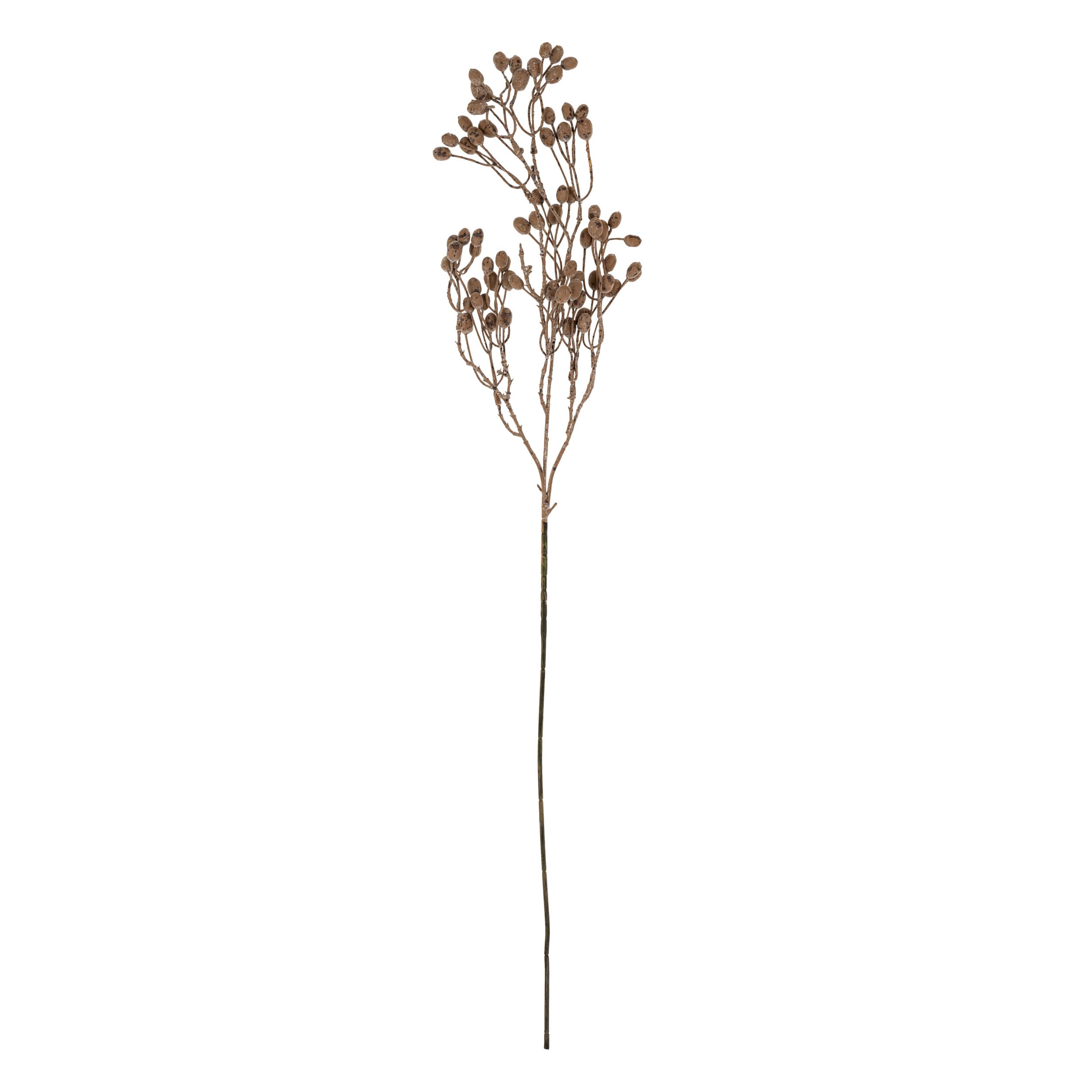Dripping Dried Berry Branch — product photograph