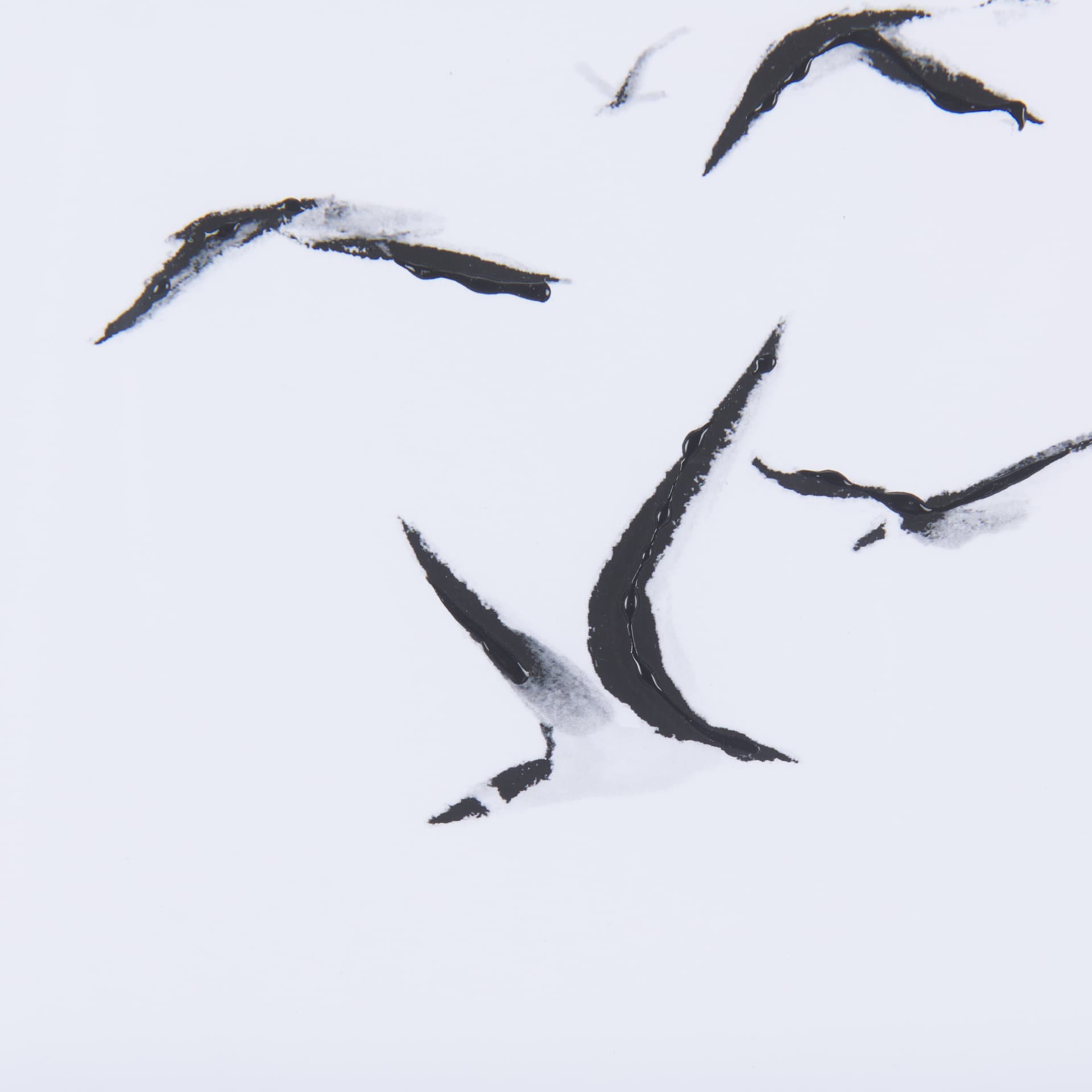 Fly Away by Mercana Studio a Hand Embellished Textured Framed Art Print Matted under Glass — product photograph