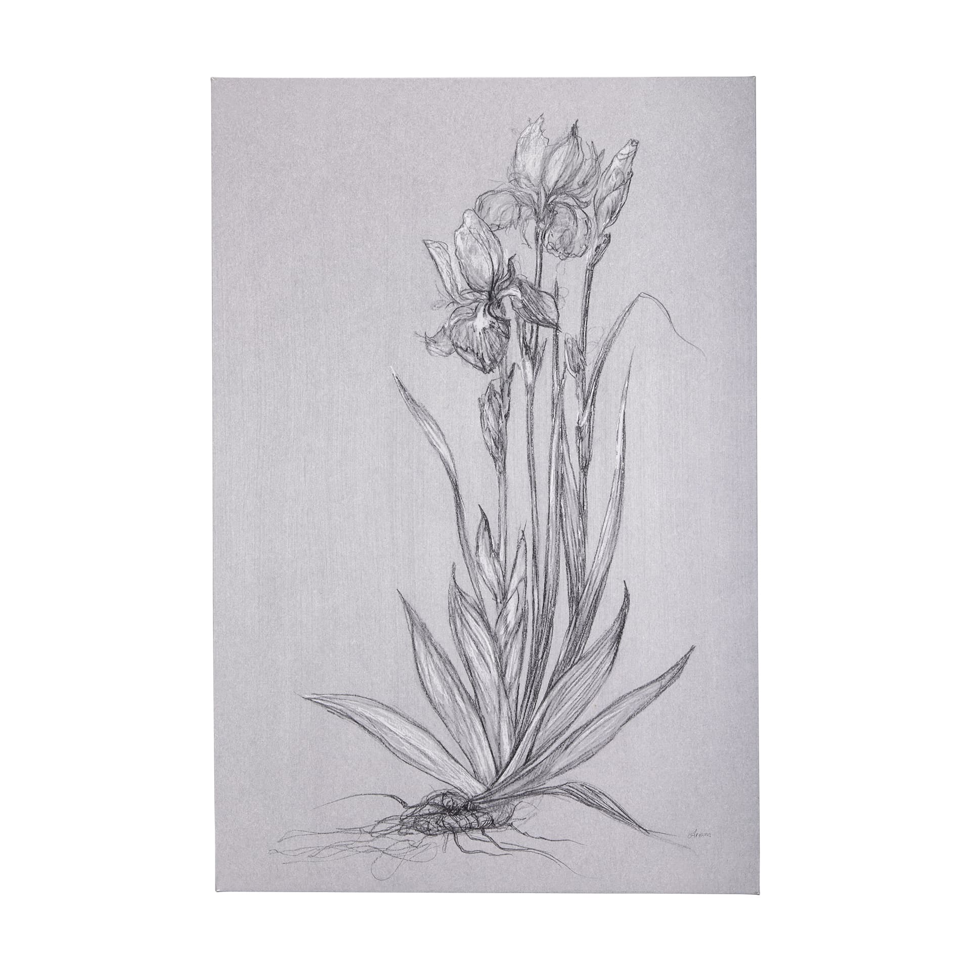 Botanical sketches IV (Grey) by Mercana Studio a Hand Embellished Textured Canvas — product photograph