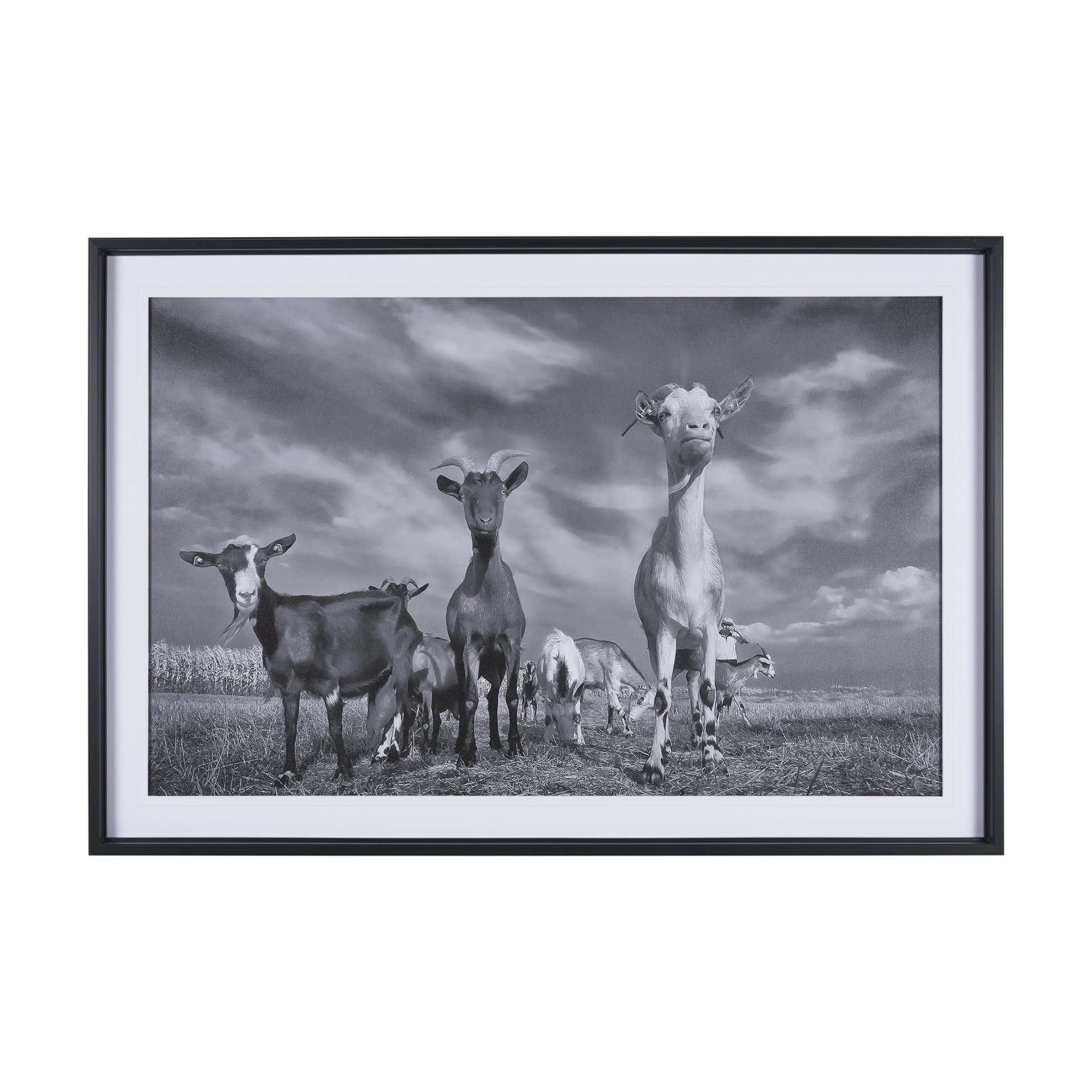 Curious Farm Goats by Novica Stankovic Hand-Embellished Textured Framed Artwork Matted under Glass — product photograph