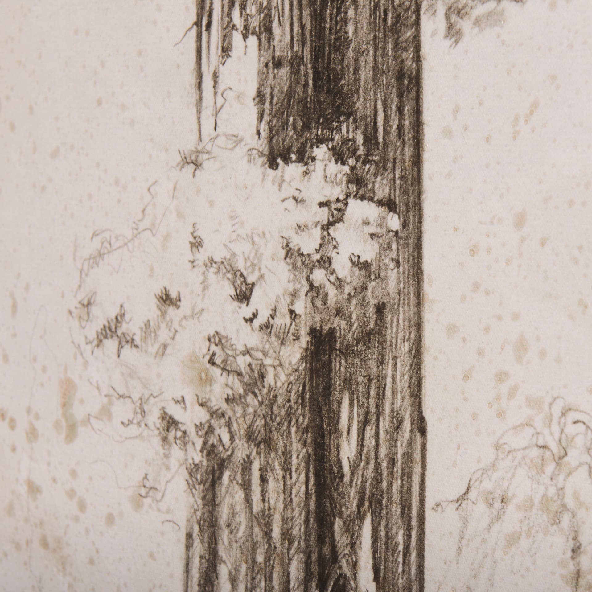 Westcoast Tree Drawing I by Mercana Studio a Hand Embellished Textured Canvas — product photograph