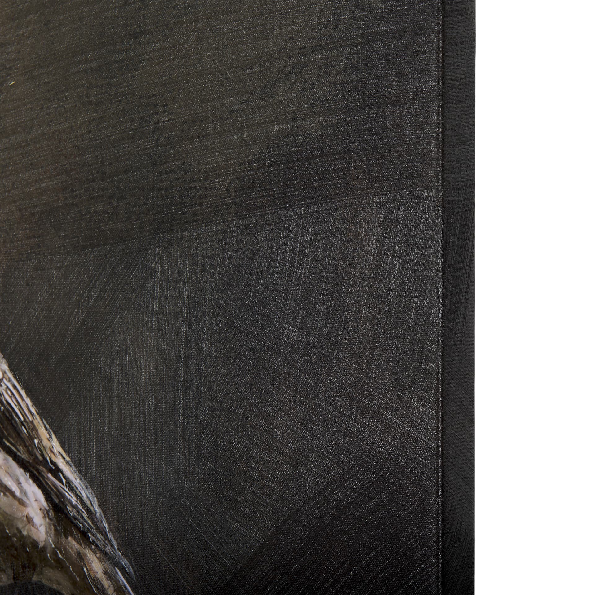 Graceful Poise I (House Finch)(42 x 56) — product photograph