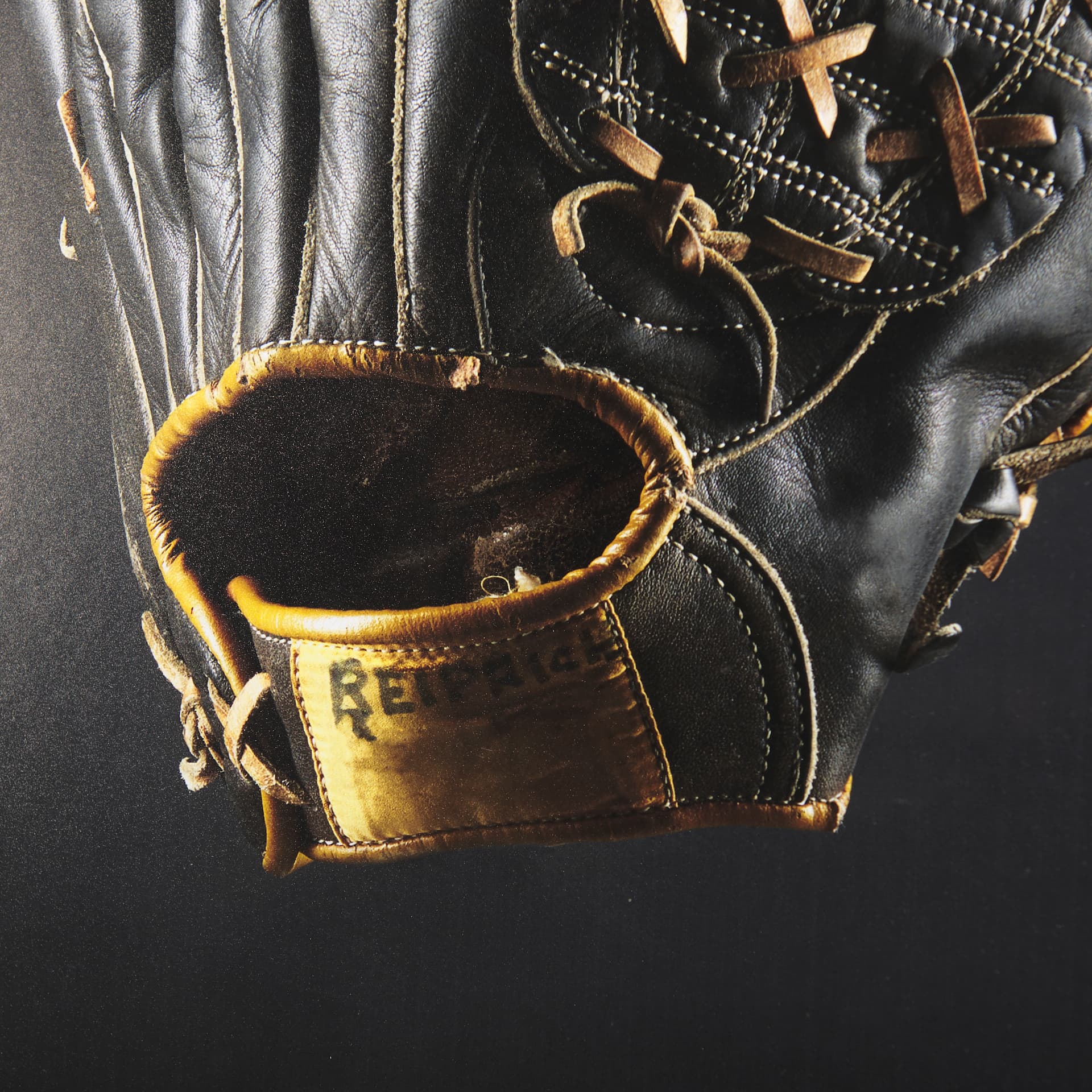Pop Fly VI by Mercana Studio a Hand Embellished Textured Framed Photo Art Print Matted under Glass — product photograph