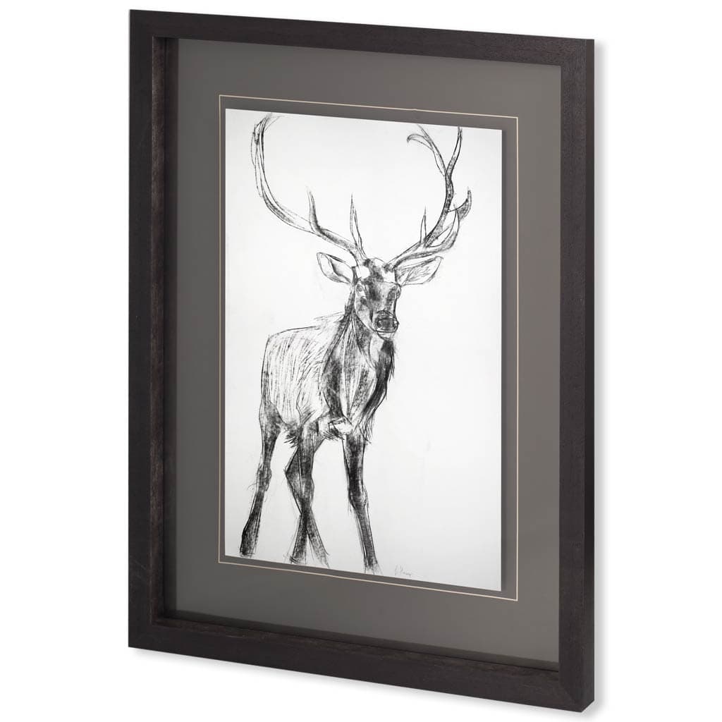 Young Elk by Harvey, Brenna a Framed Art Print Matted under Glass — product photograph