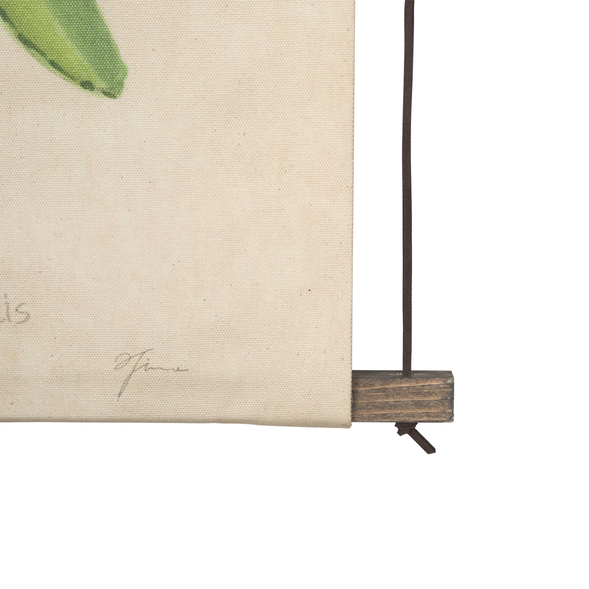 Botanical Study-Cornus Florida by Mercana Studio a Hand Embelished Textured Framed Art Print — product photograph