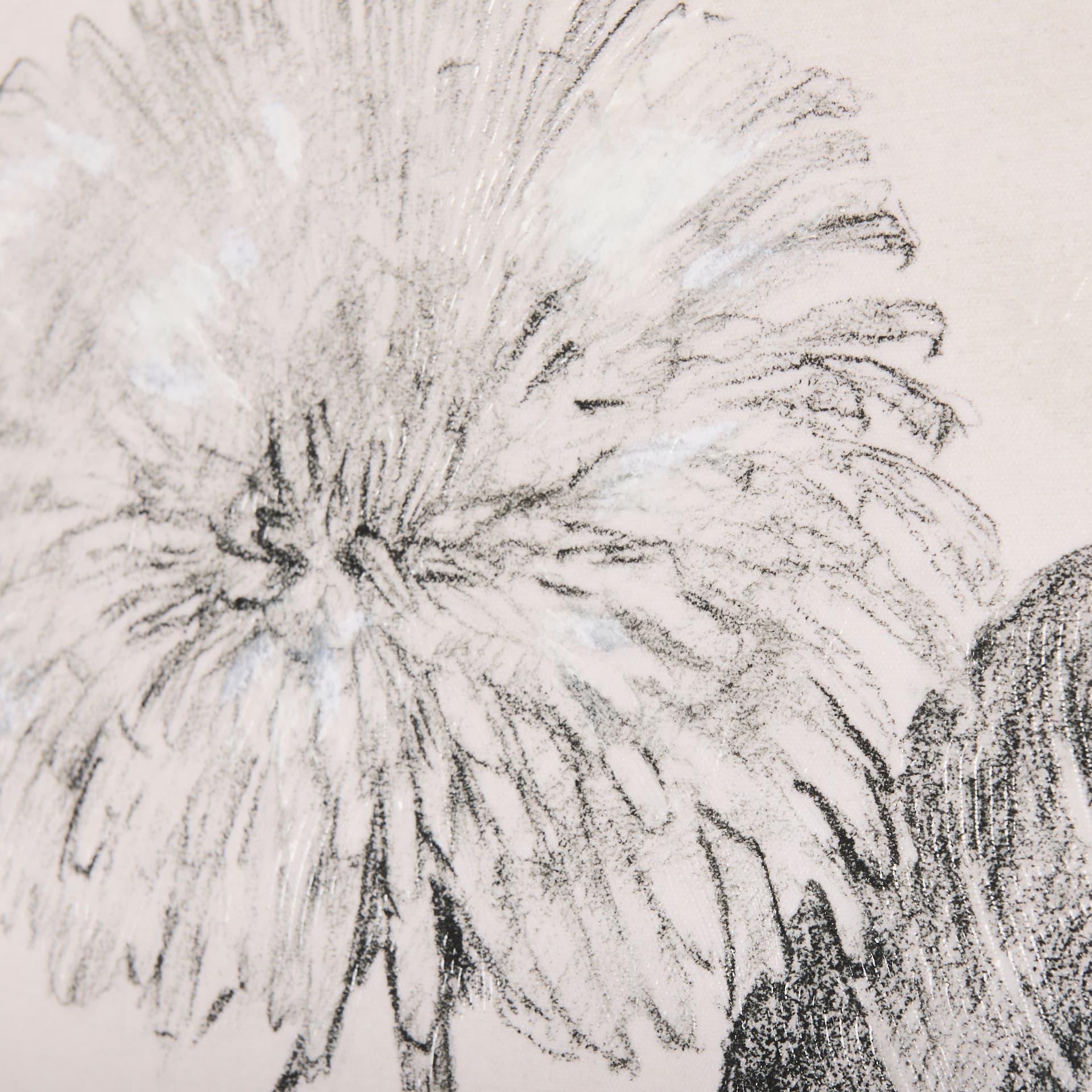 Dandelion Drawing II by Mercana Studio a Hand Embellished Textured Canvas — product photograph