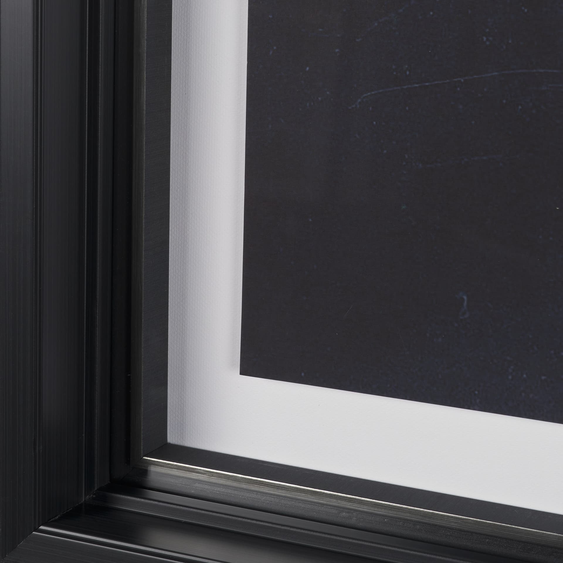 Urchin Still Life III by Nathan Larson a Hand Embellished Framed Photo Art Print Matted under Glass — product photograph