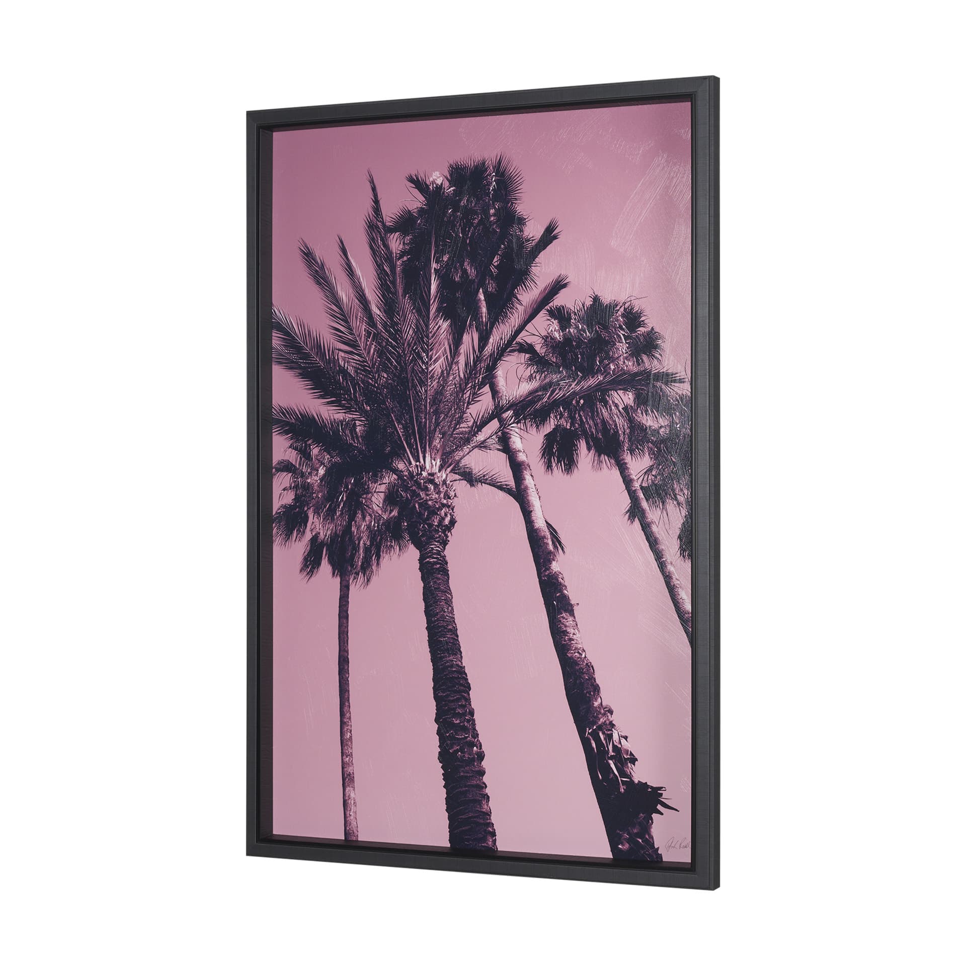 Pink Palms II by Deborah Revell a Hand Embellished Framed Photo Art Print — product photograph