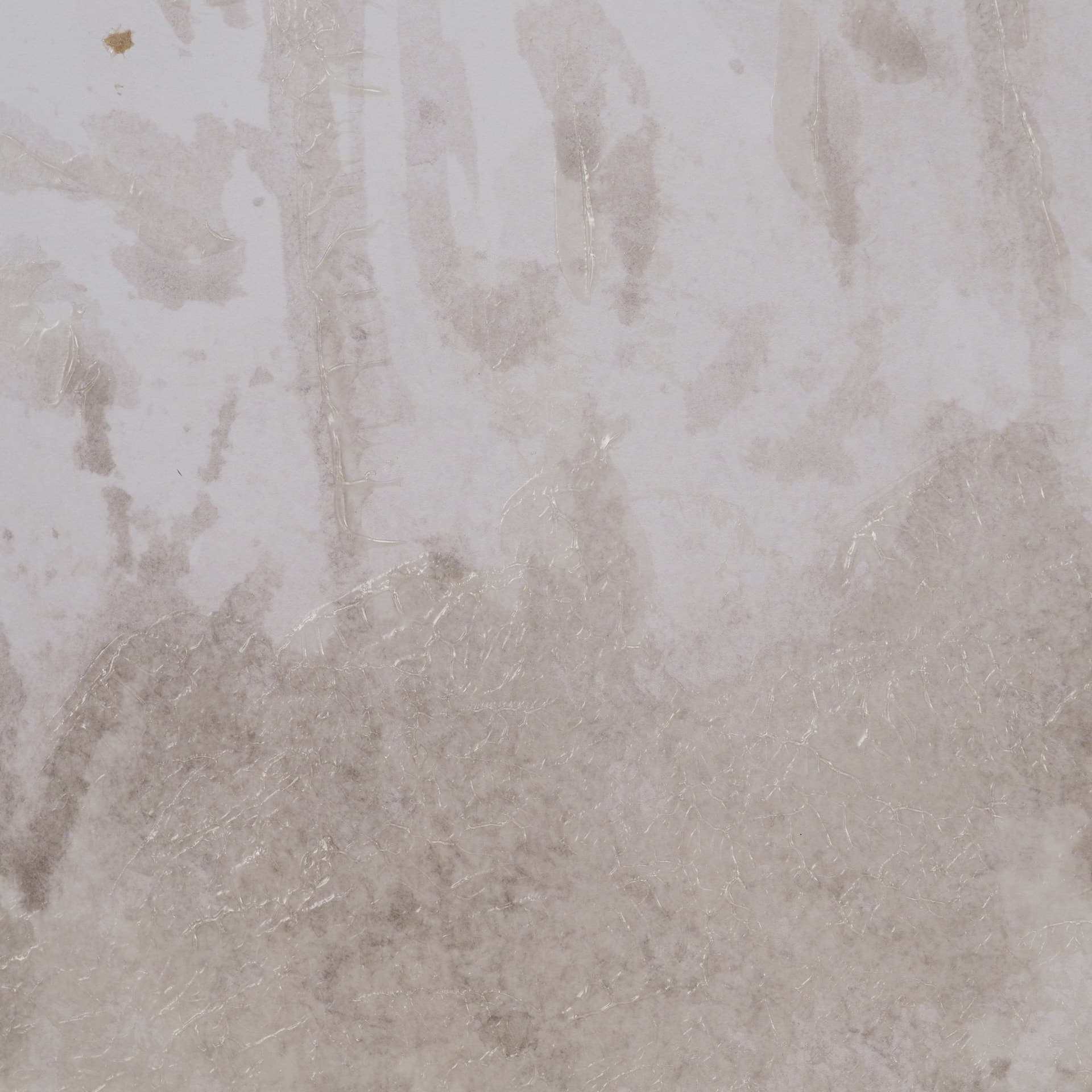 Quiet Canopy II by Mercana Studio Hand-Embellished Framed Artwork Matted under Glass — product photograph