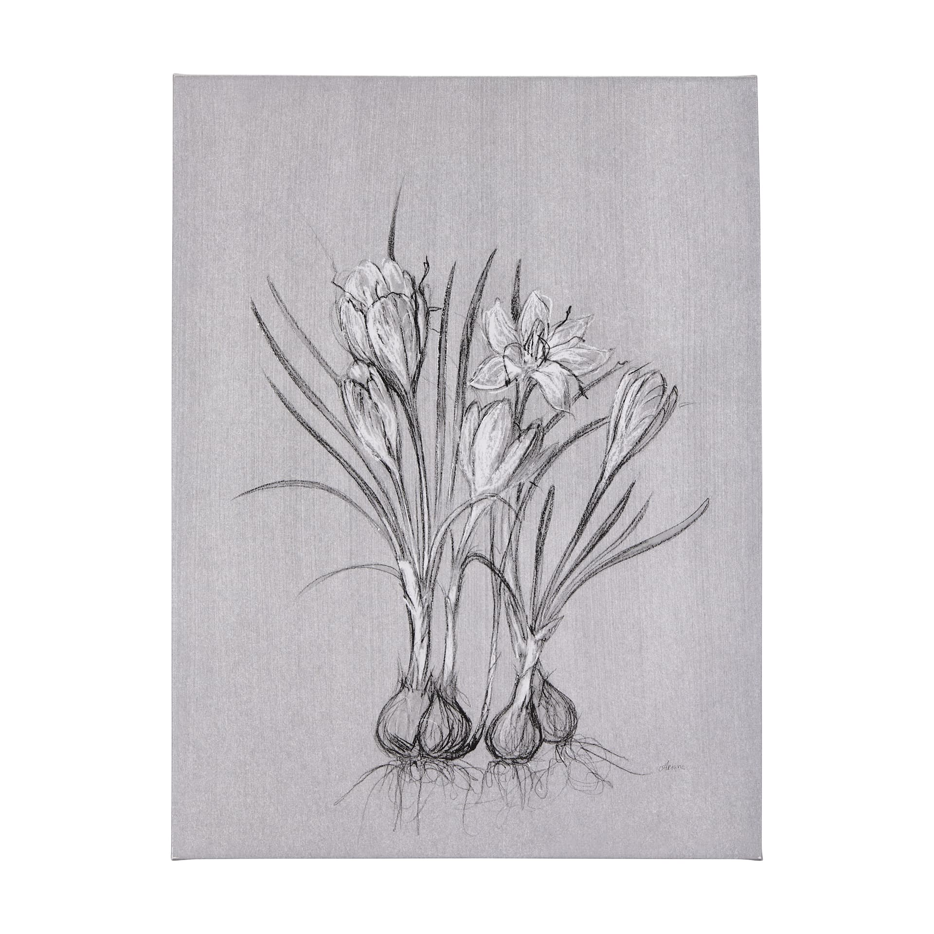 Botanical sketches V (Grey) by Mercana Studio a Hand Embellished Textured Canvas — product photograph