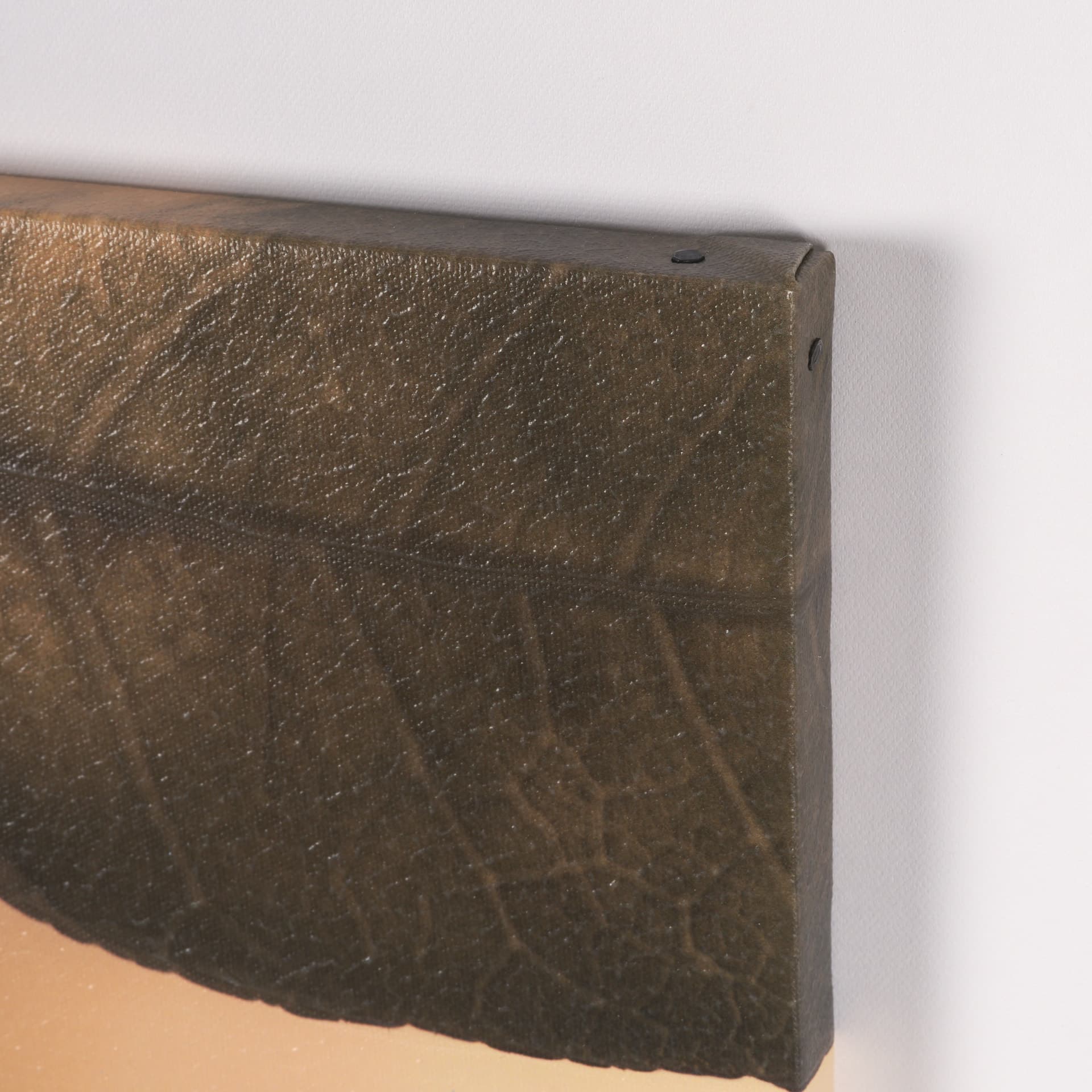 Leaf Imaging by Michael Banks a Hand Embellished Framed Photo Art Print Matted under Glass — product photograph