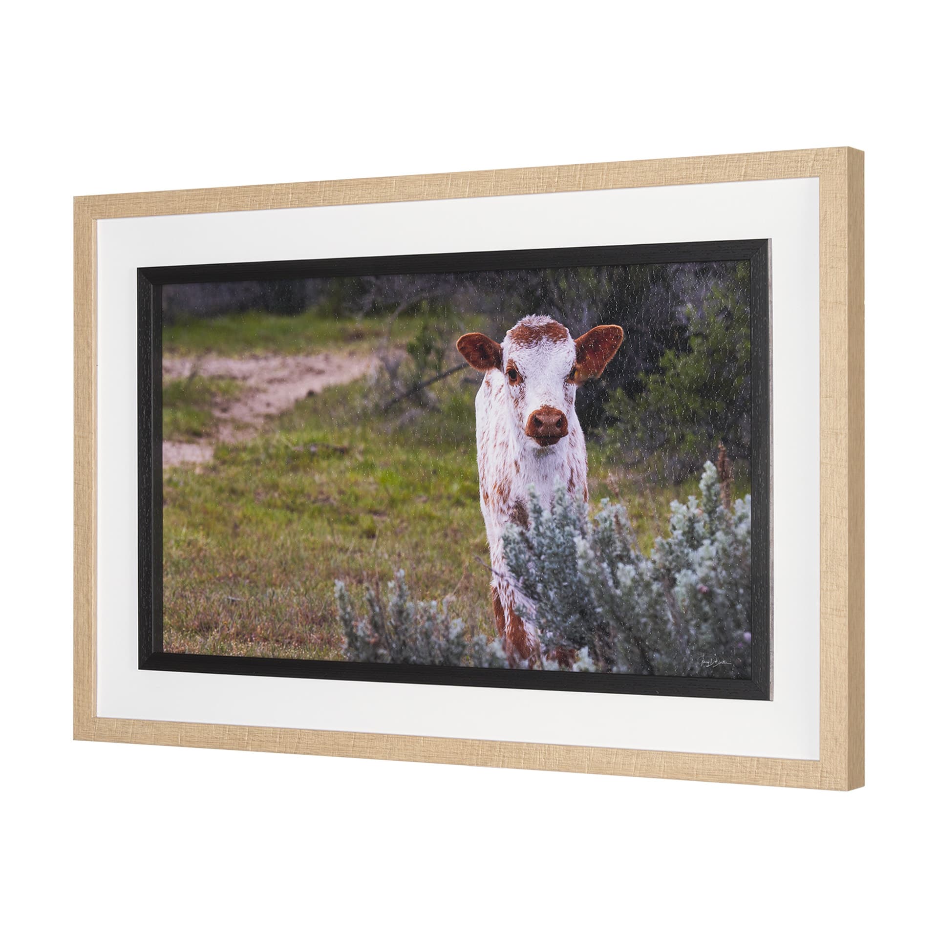 Longhorn 7 by Gary Blatter a Hand Embellished Framed Photo Art Print Matted under Glass — product photograph