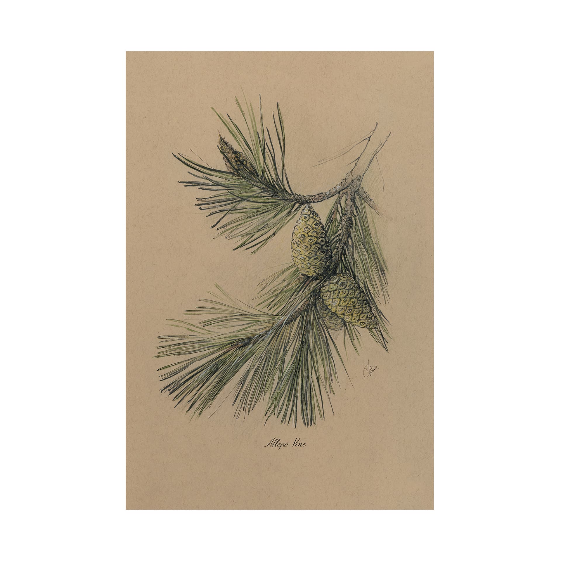 Evergreen collection I by Victoria a Hand Embellished Textured Canvas — product photograph