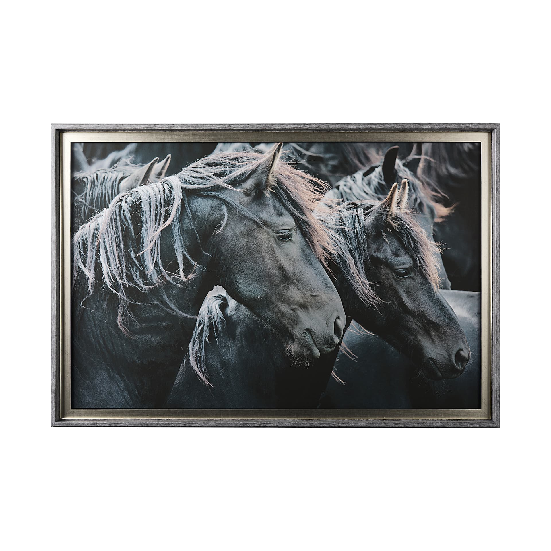 Majestic Admiration by Mercana Studio a Framed Photo Art Print Matted under Glass — product photograph