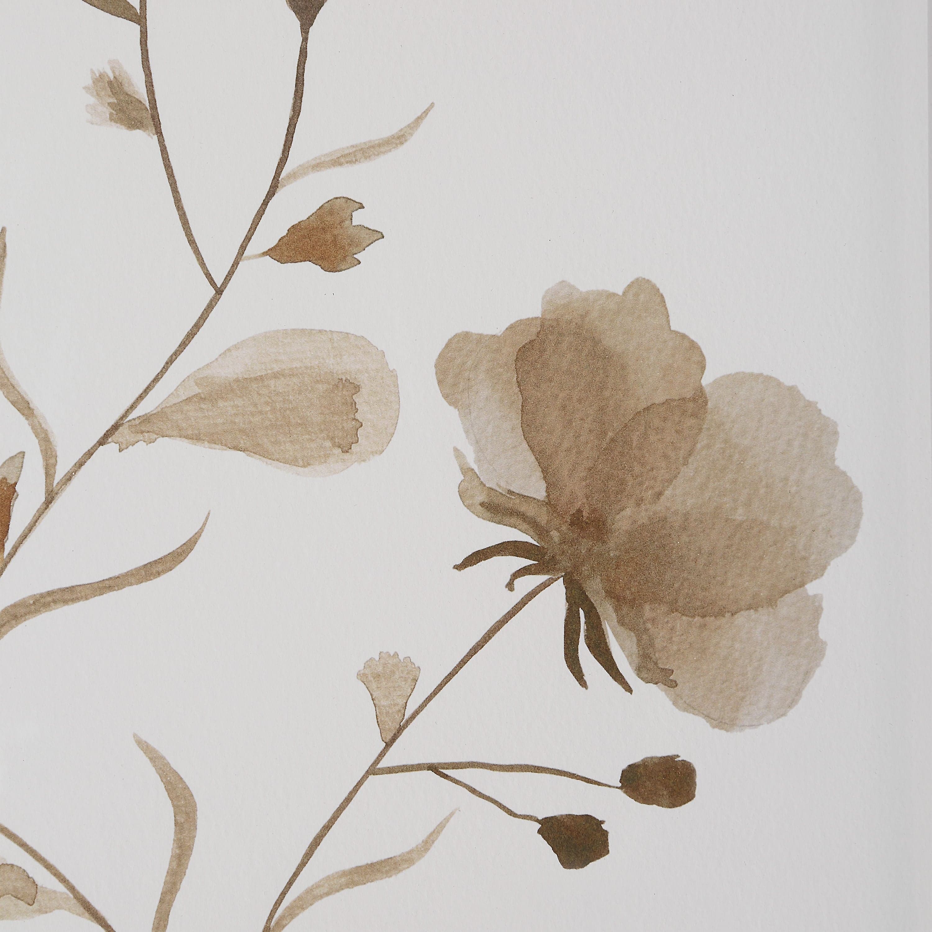 Madalena — product photograph