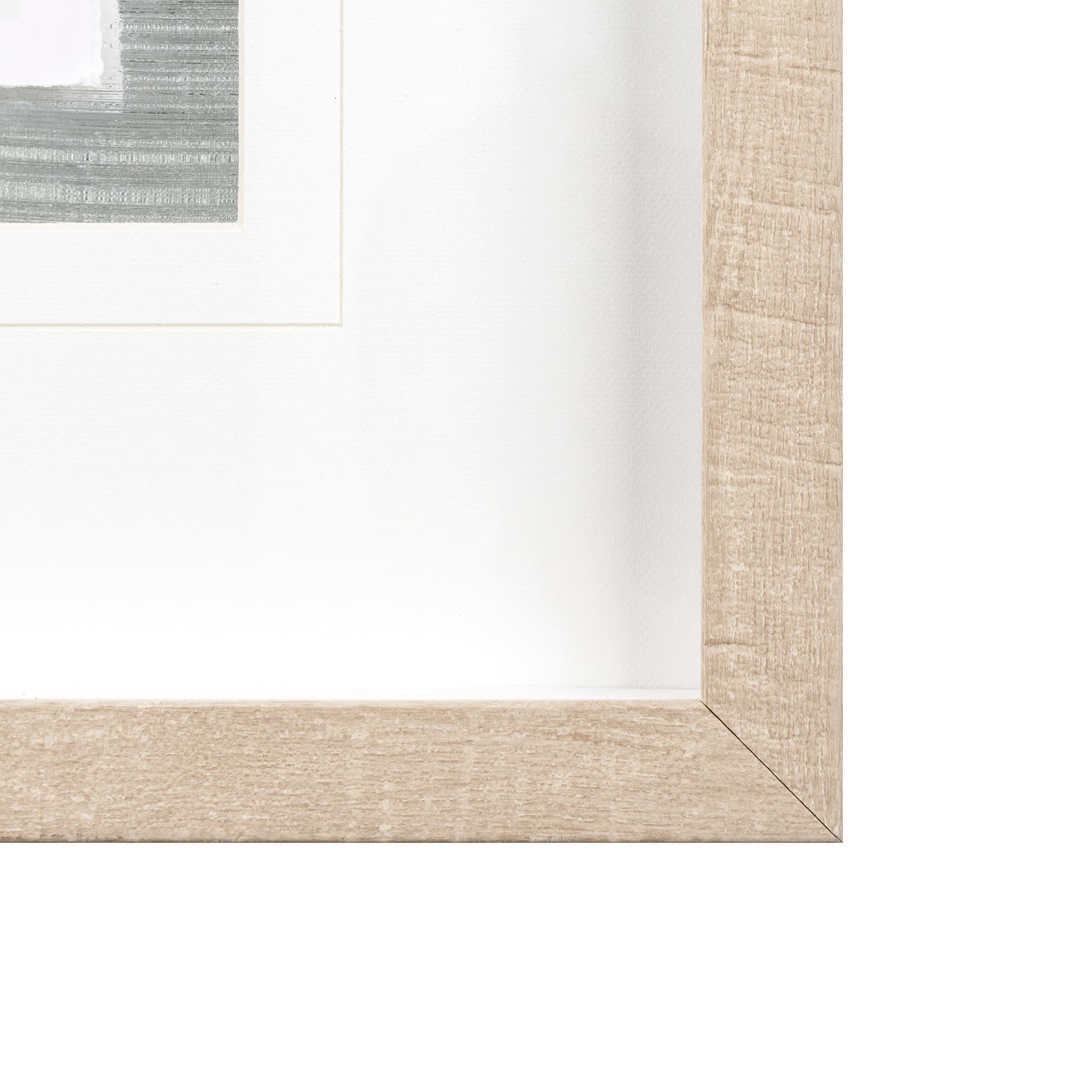 Echinacea I by Panpan Zhang a Framed Art Print Matted under Glass — product photograph