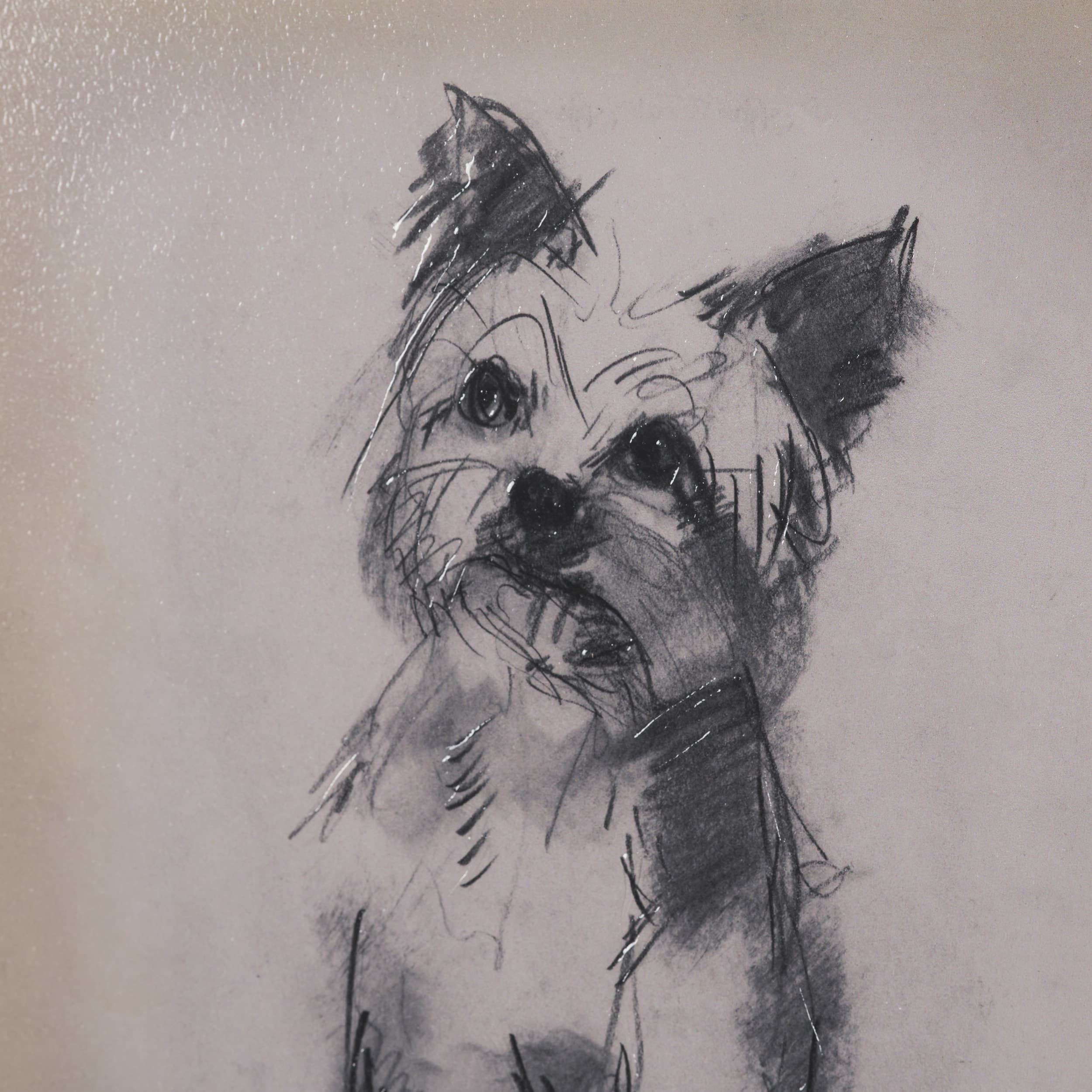White Scottie by Mercana Studio Hand-Embellished Framed Artwork Matted under Glass — product photograph