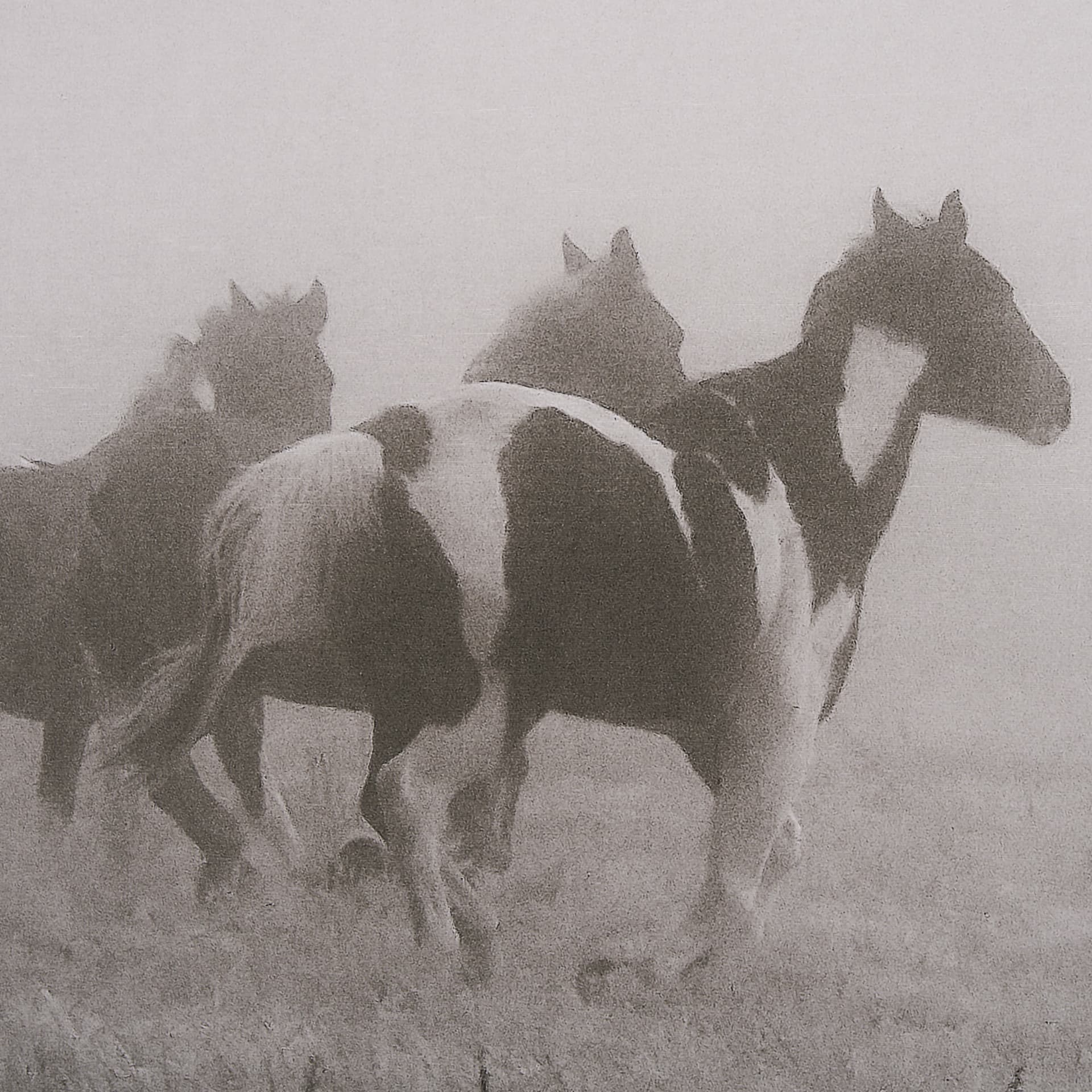 Painted Horses on the Run by Debra Van Swearingen a Hand Embellished Framed Photo Art Print Matted u — product photograph