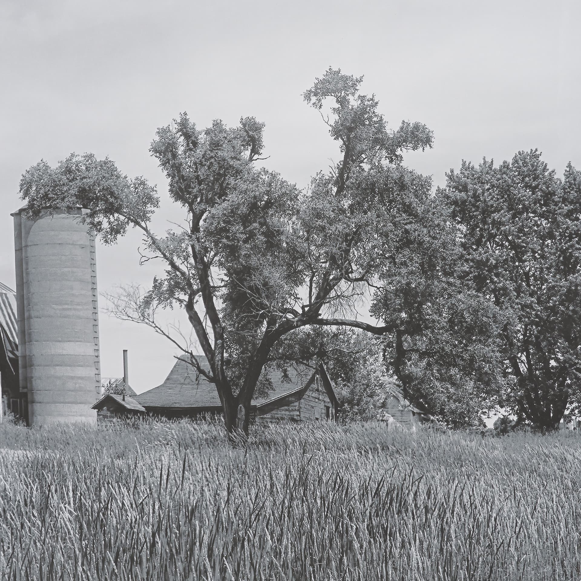 Farm Serenity I by Leda Robertson Textured FramedPhoto Print Matted under Glass — product photograph