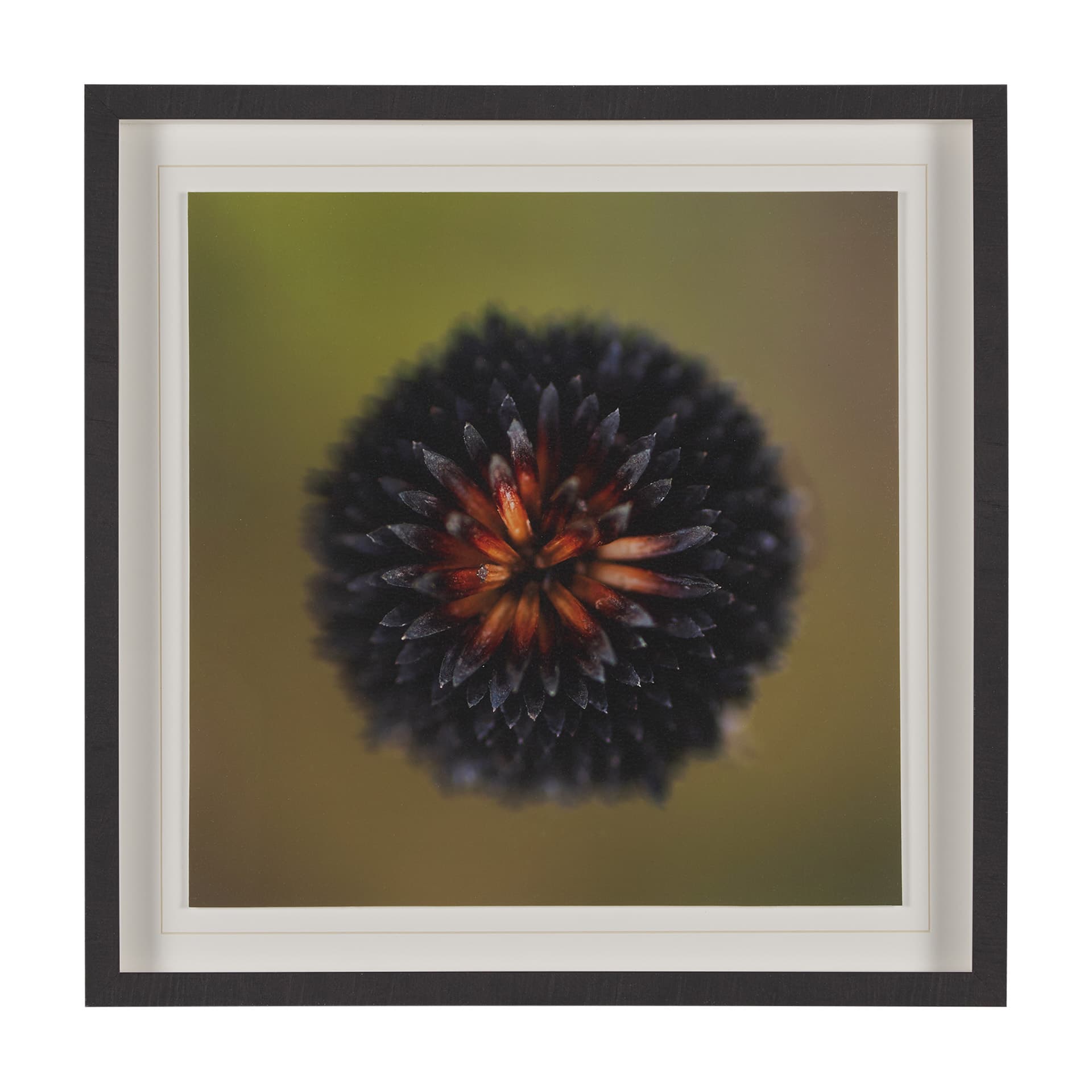 Glowing by Stig Kalvelid a Hand Embellished Framed Photo Art Print Matted under Glass — product photograph