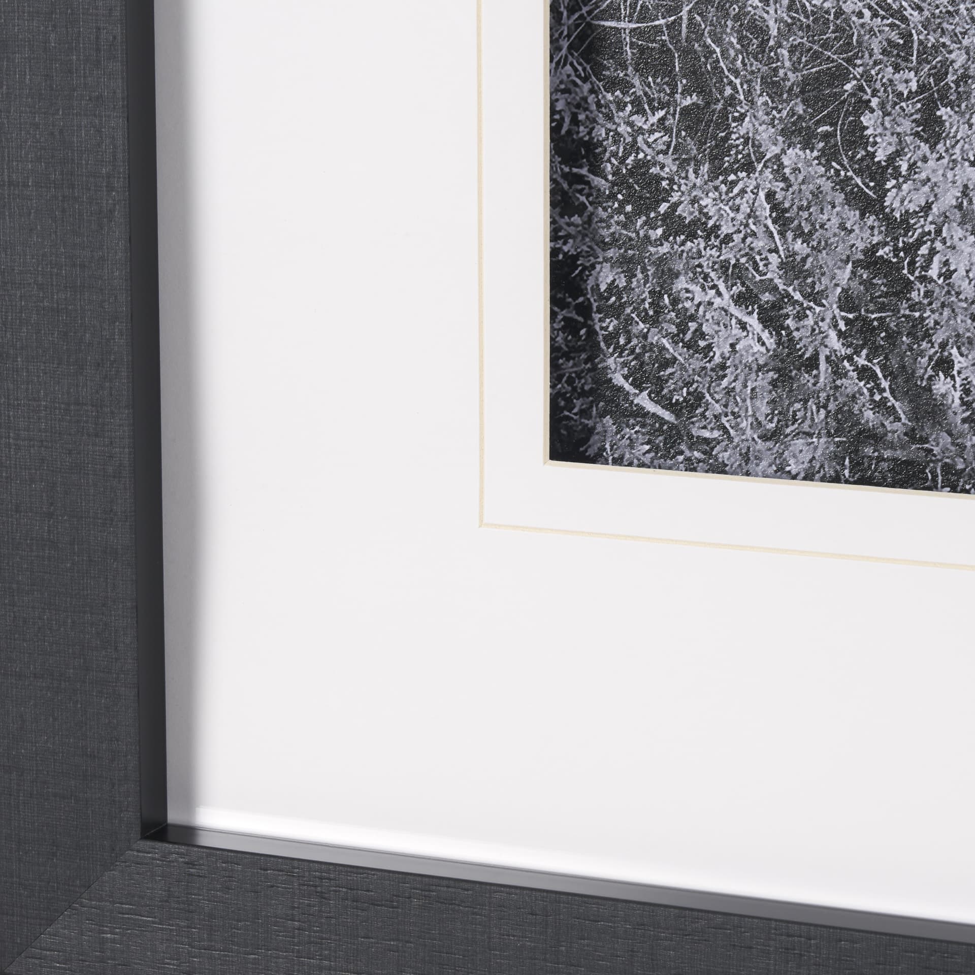 On The Ranch Cactus I by Norm Stelfox Hand Embelished Textured Framed Photo Art Print Matted under G — product photograph