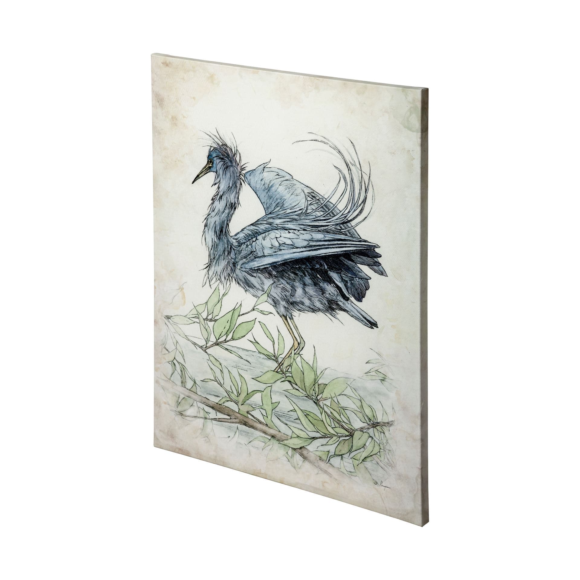 Tricolored Heron by Mercana Studio a Hand Embellished Textured Canvas — product photograph