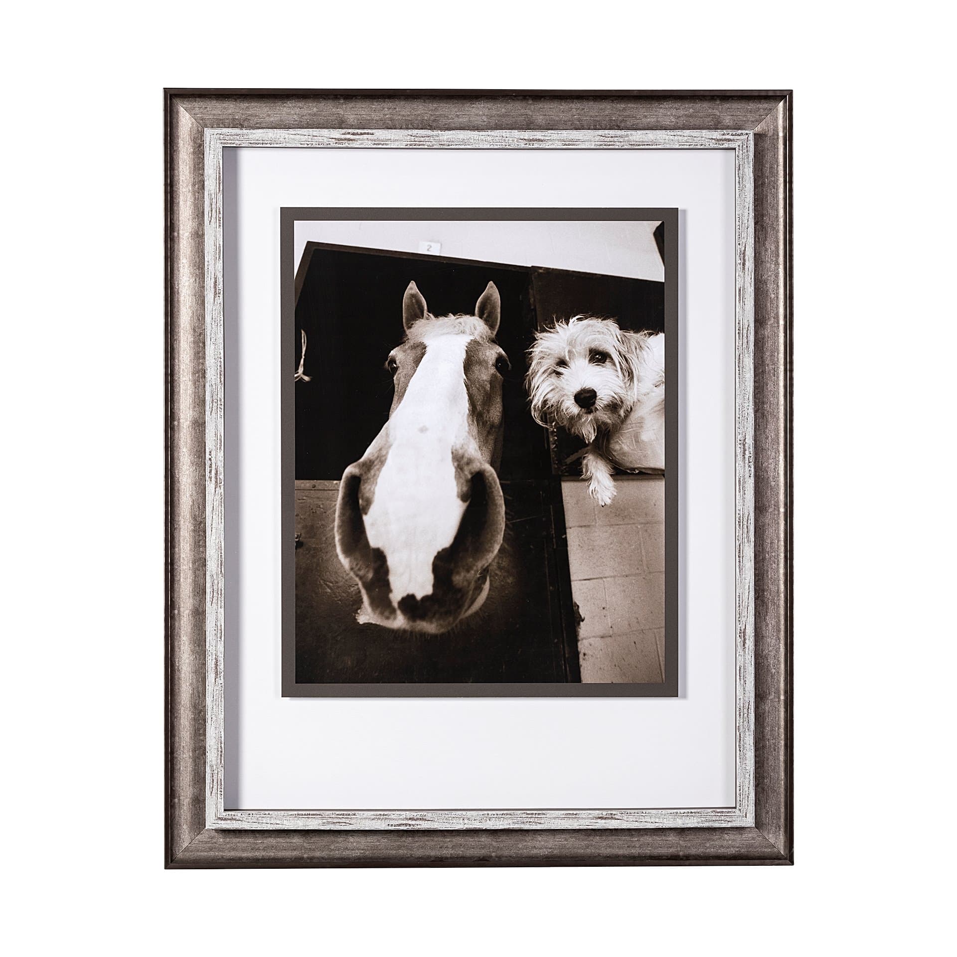 Hanging Out by Jim Drafield a Framed Photo Art Print Matted under Glass — product photograph