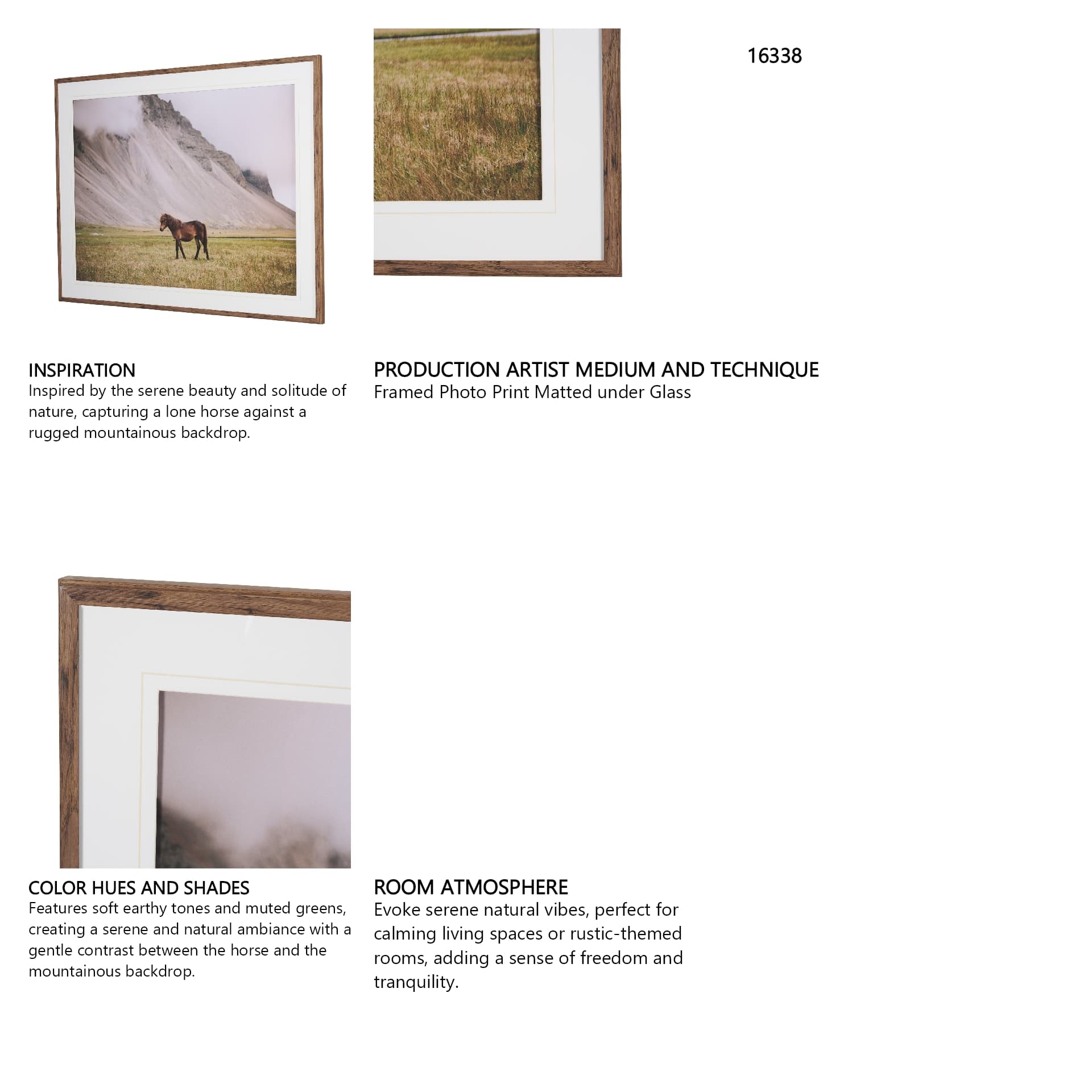 Icelandic Horse by Stefan and Audrey Framed Photo Print Matted under Glass — product photograph
