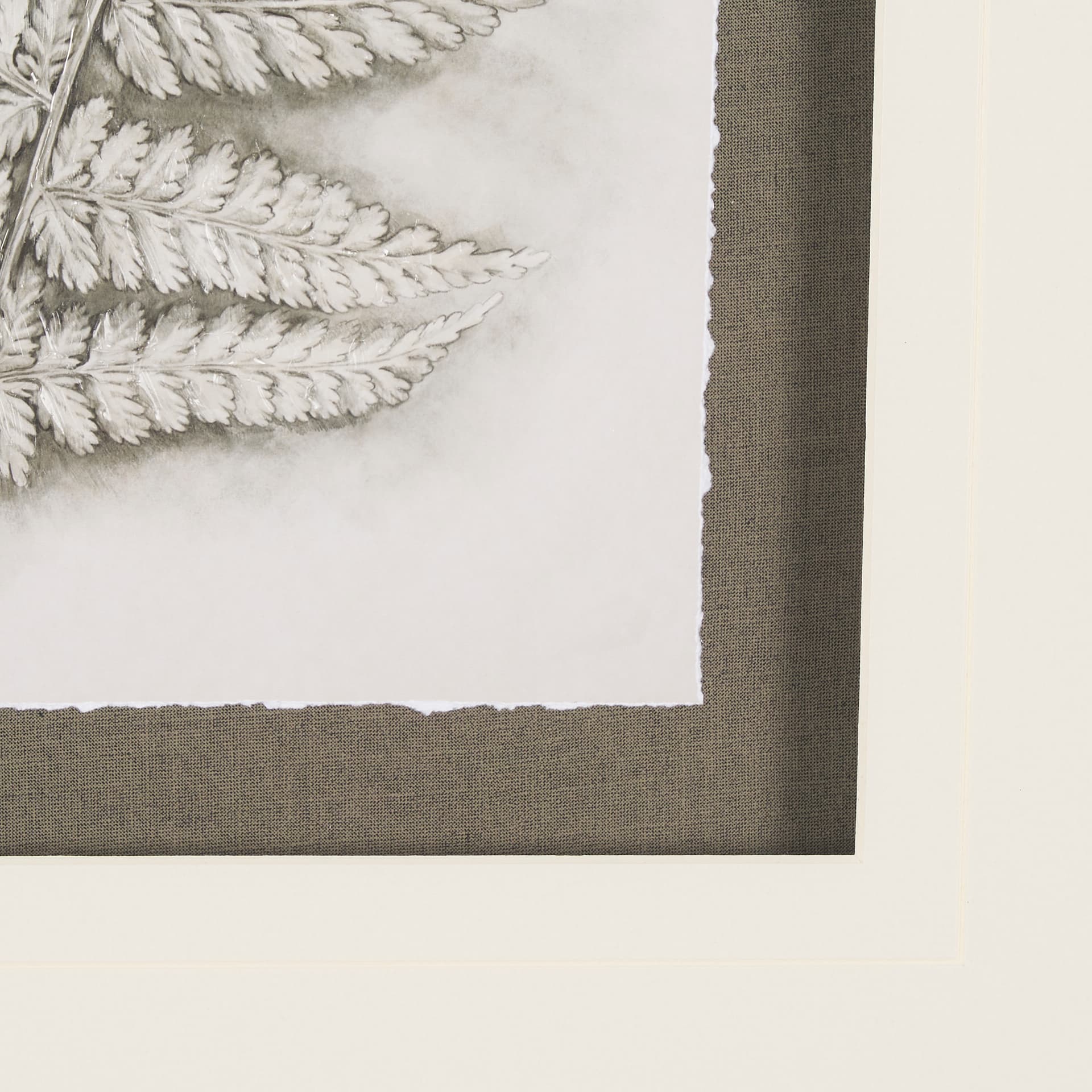 Fern Study II by Mercana Studio Hand Embelished Framed Art Print Matted under Glass — product photograph