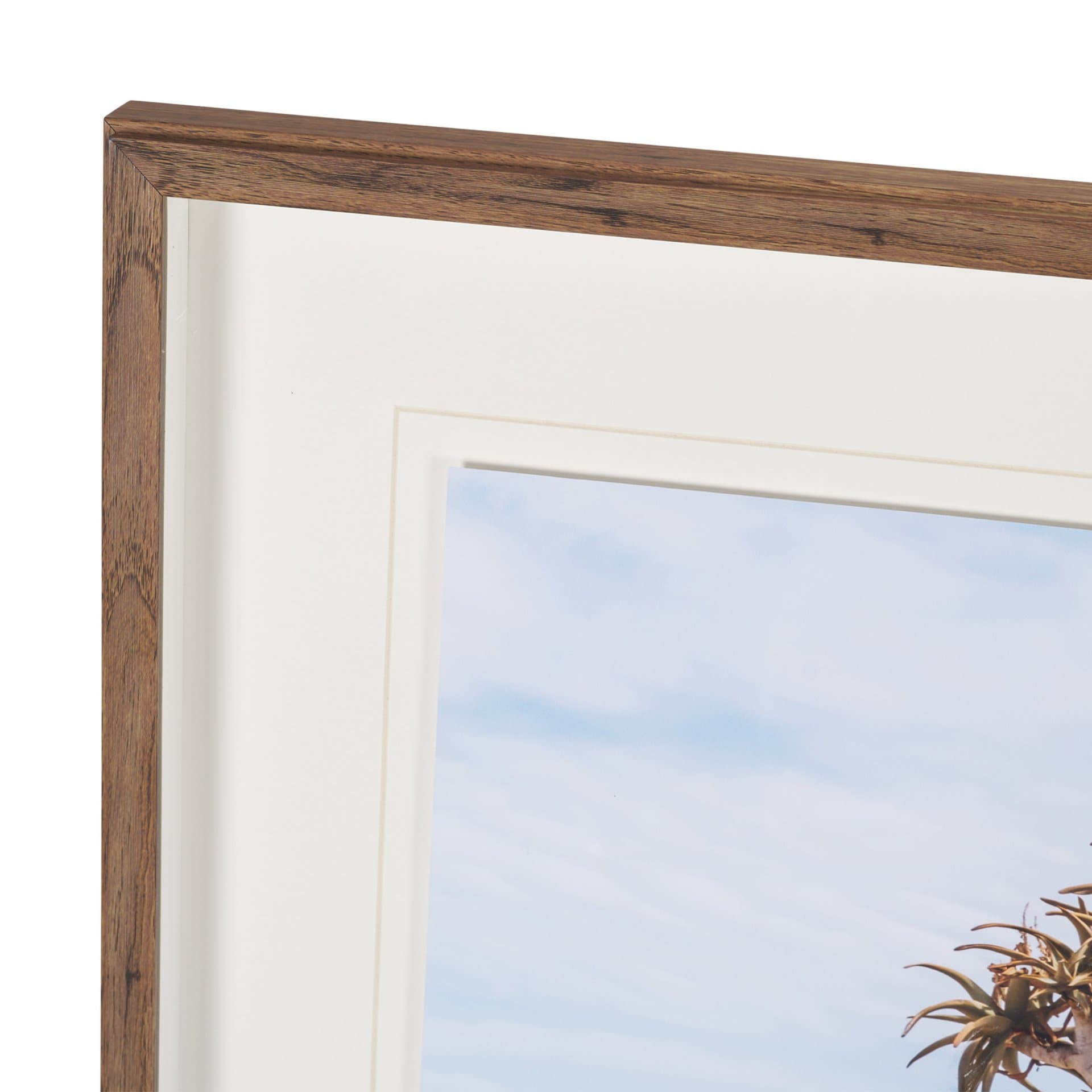 Namibia Tree in Desert by Richard Silver Textured Framed Photo Print Matted under Glass — product photograph