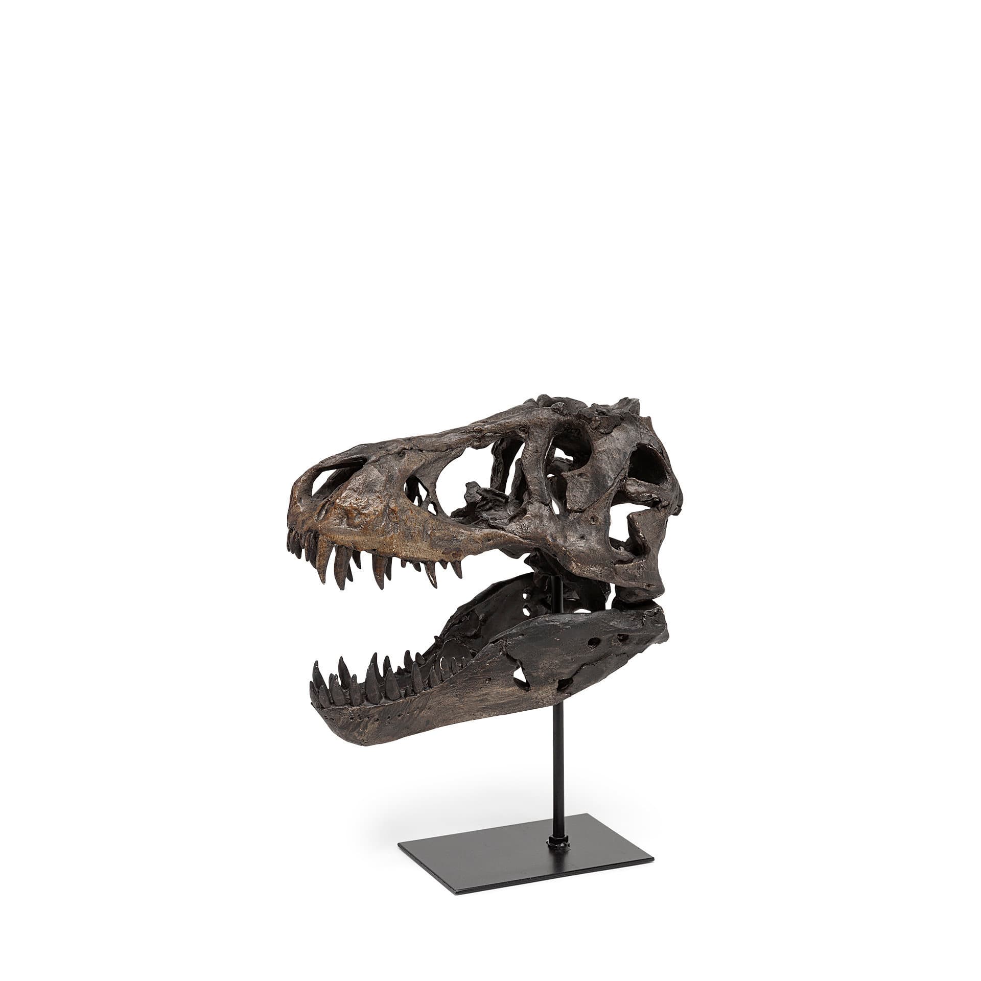 Jurassic 6L x 10W Brown Resin Tyrannosaurus Skull Replica — product photograph