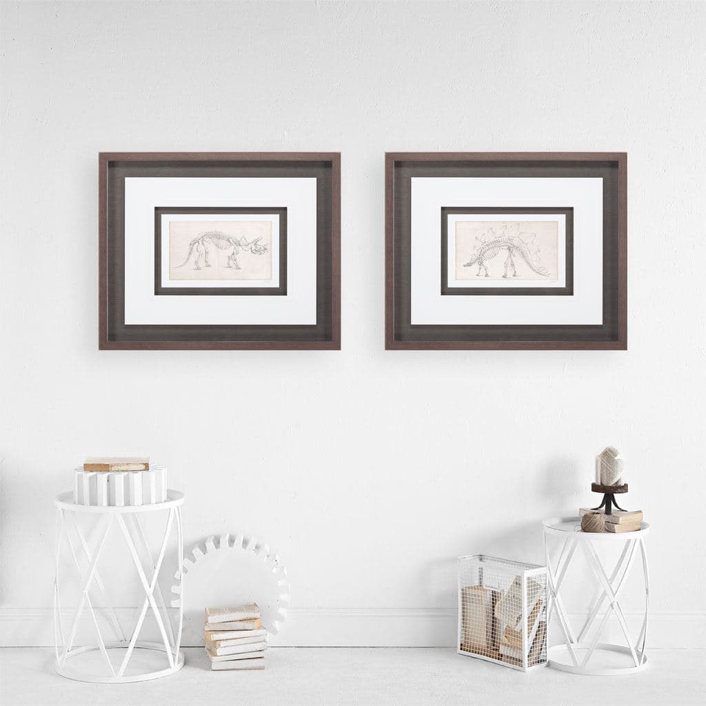 Custom Dinosaur Study II (MC) by Harper, Ethan a Framed Art Print Matted under Glass — product photograph