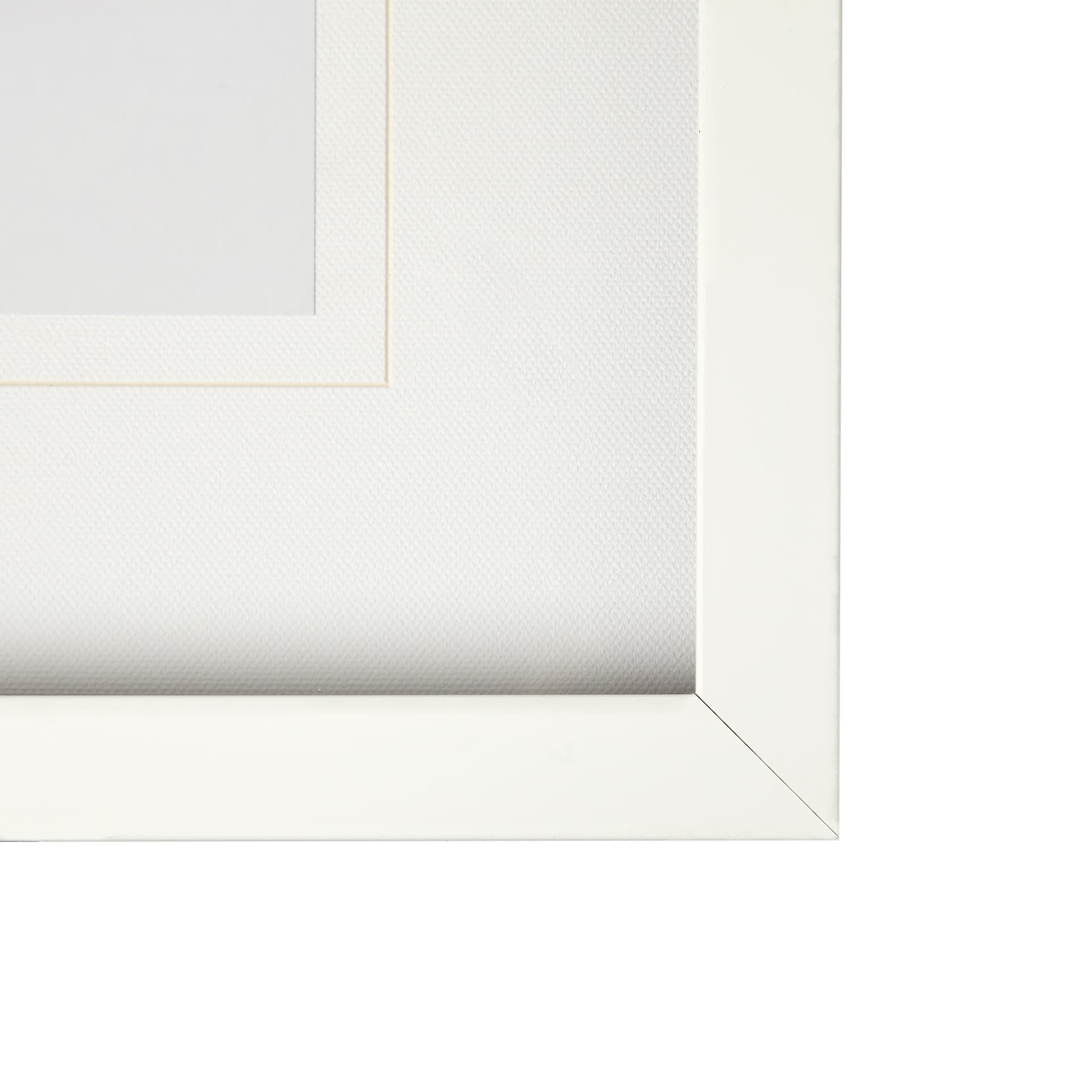 T-rex & Vintage Camera by Susannah Tucker Photography a Framed Photo Art Print Matted under Glass — product photograph