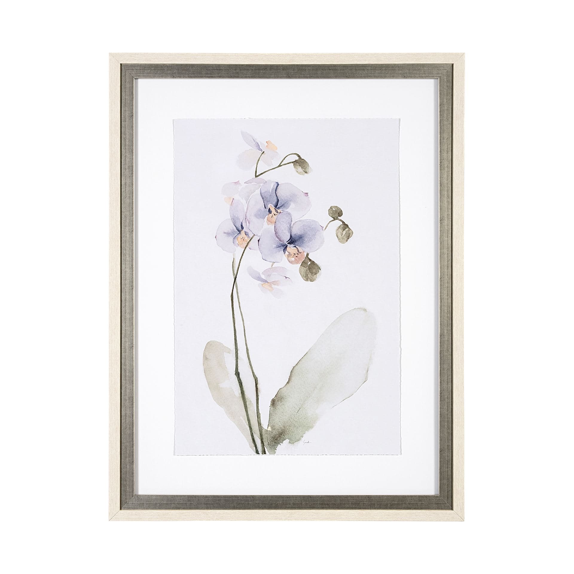 Orchid I by Gabrielle Campbell a Framed Art Print Matted under Glass — product photograph