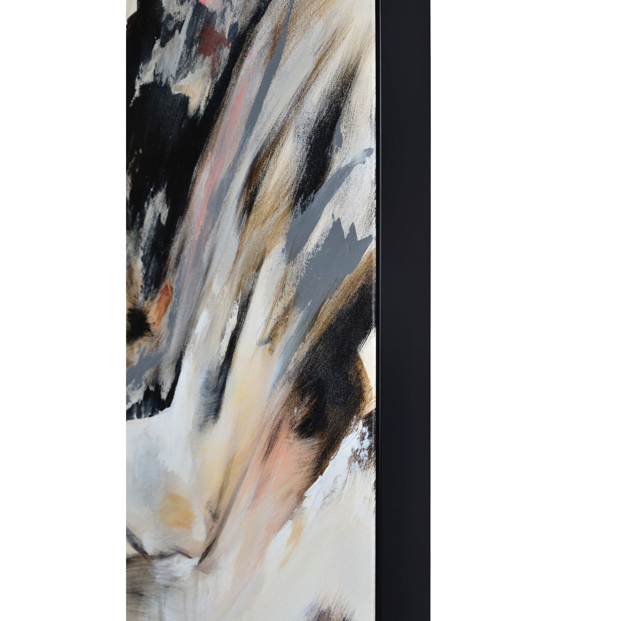 Infusion — product photograph