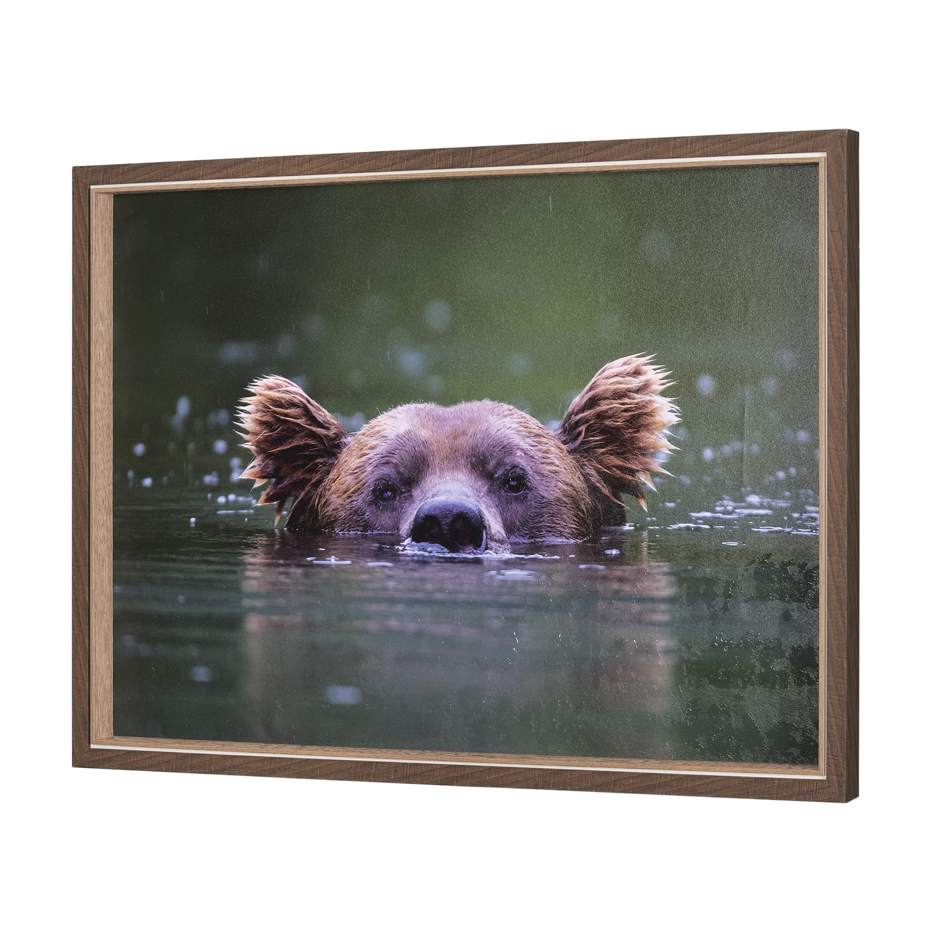 Peeking Out by Mercana Studio a Hand Embellished Textured Framed Photo Art Print — product photograph