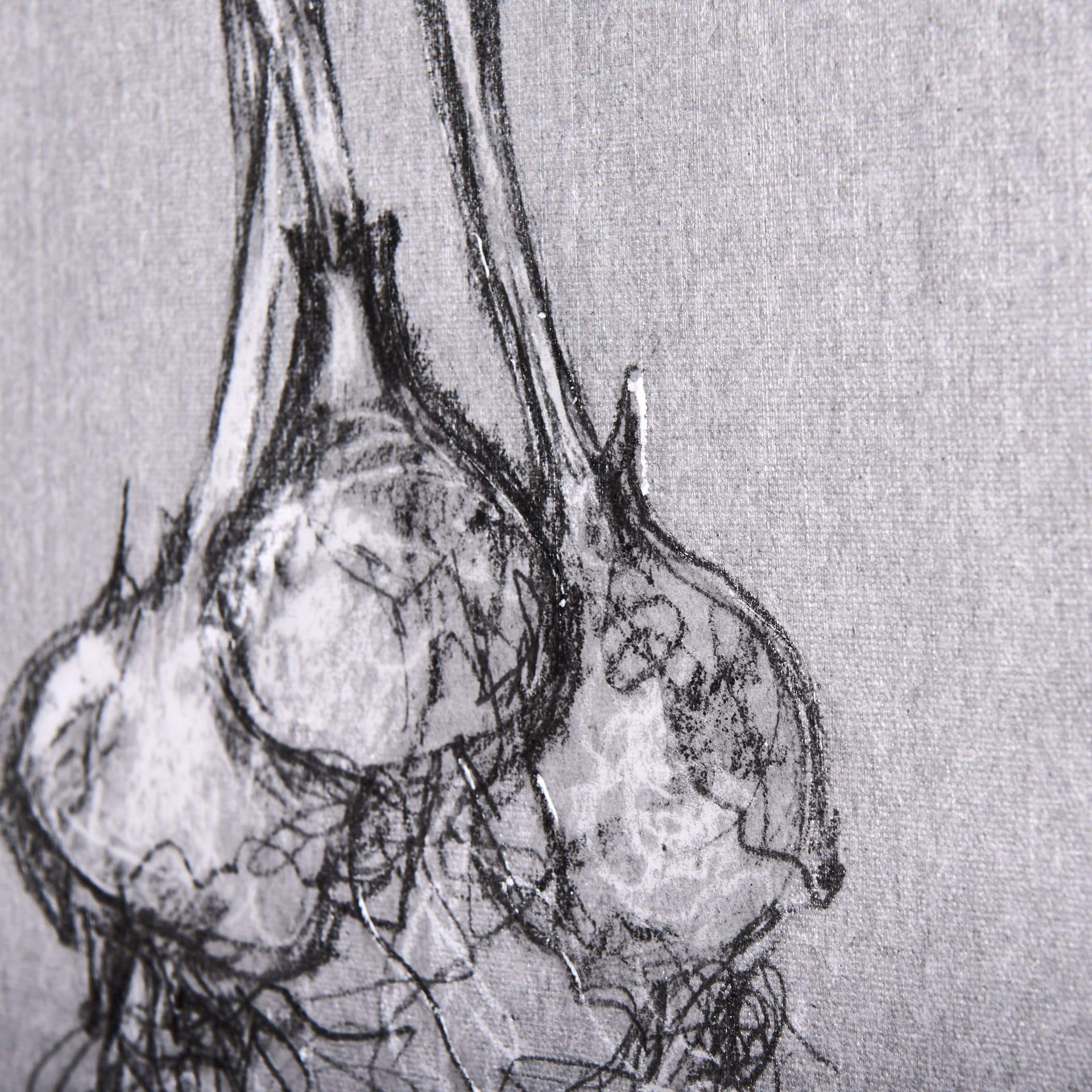 Botanical sketches I (Grey) by Mercana Studio a Hand Embellished Textured Canvas — product photograph