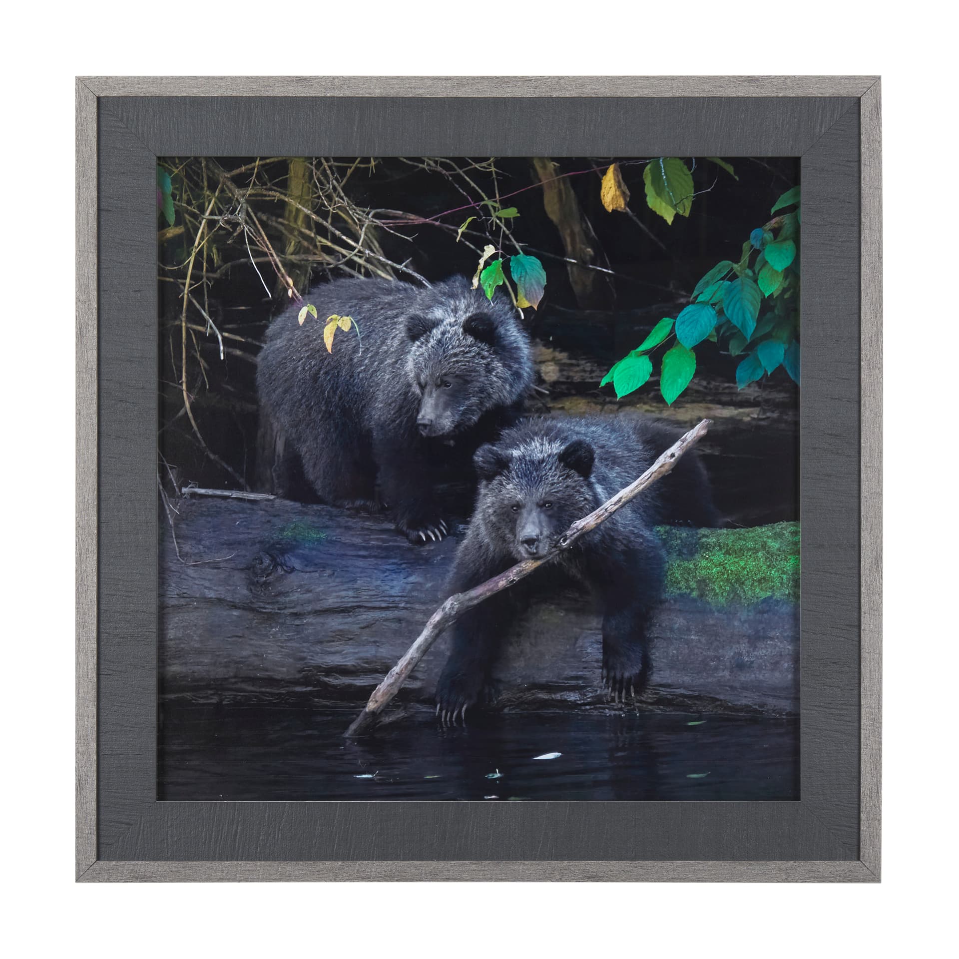 Playing Bears by Chad Mackay a Hand Embellished Textured Framed Photo Art Print Matted under Glass — product photograph