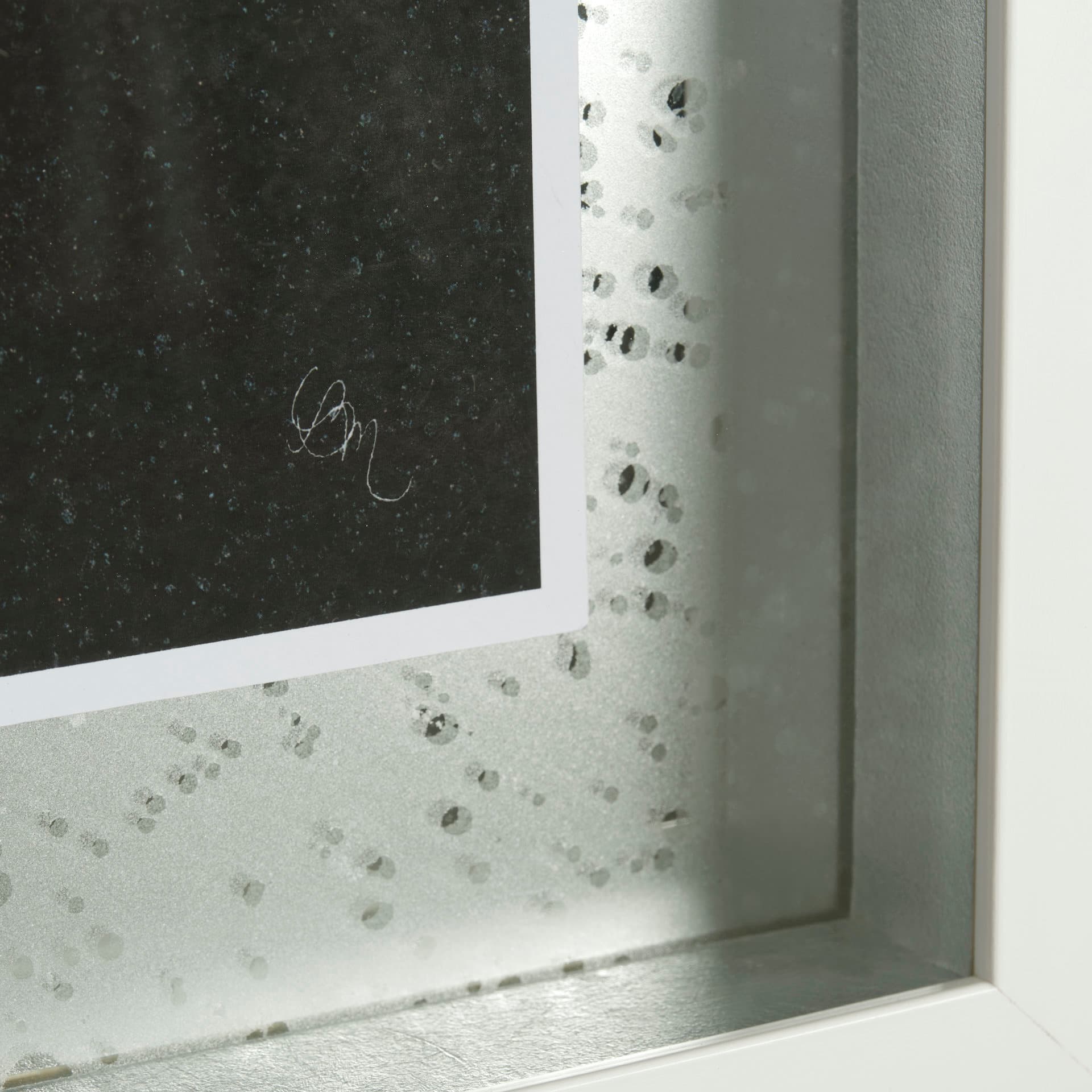 Flora V by Mercana Studio a Hand Embellished Textured Framed Art Print Matted under Glass — product photograph