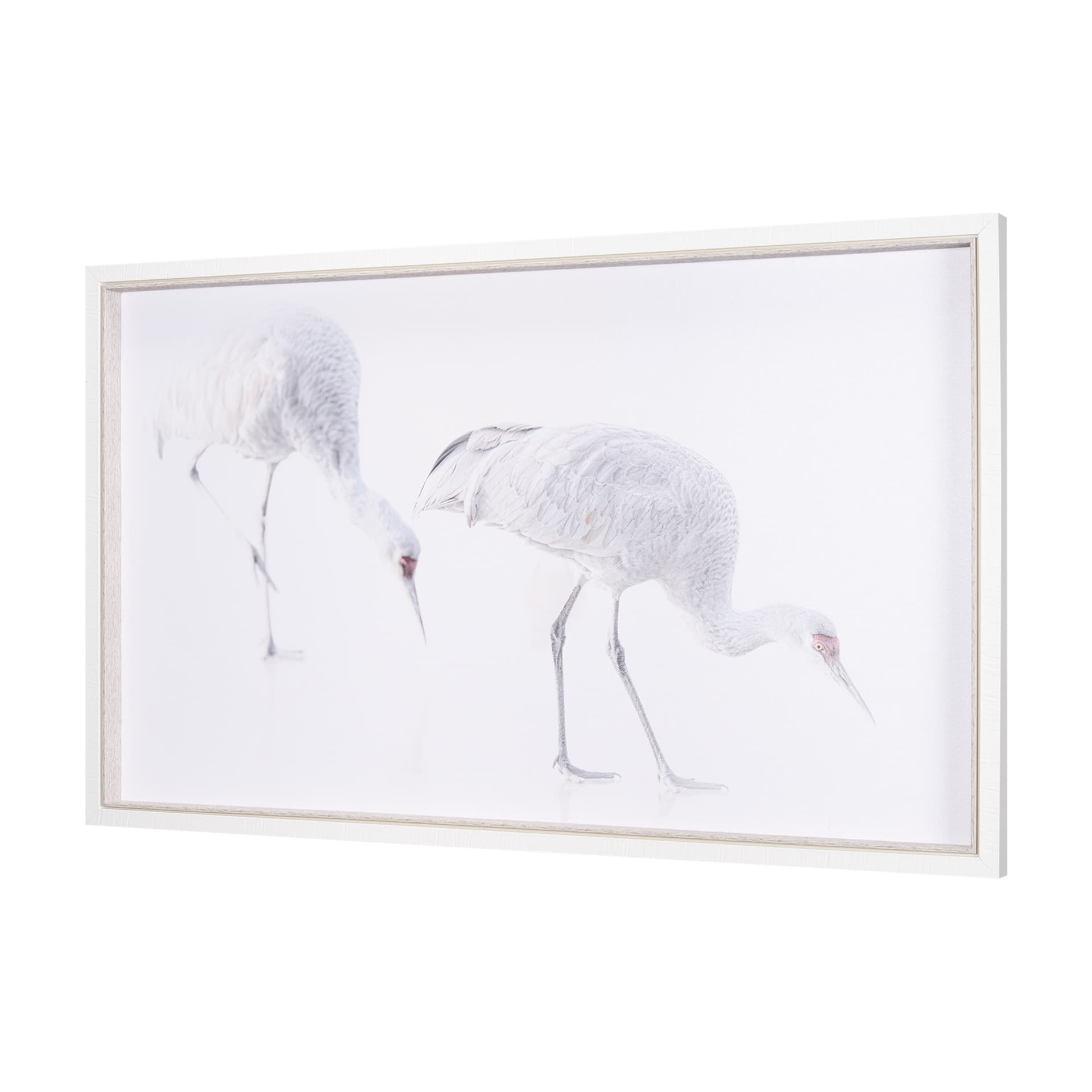 Sandhill Crane I by Chad Mckay a Hand Embelished Textured Framed Photo Art Print — product photograph