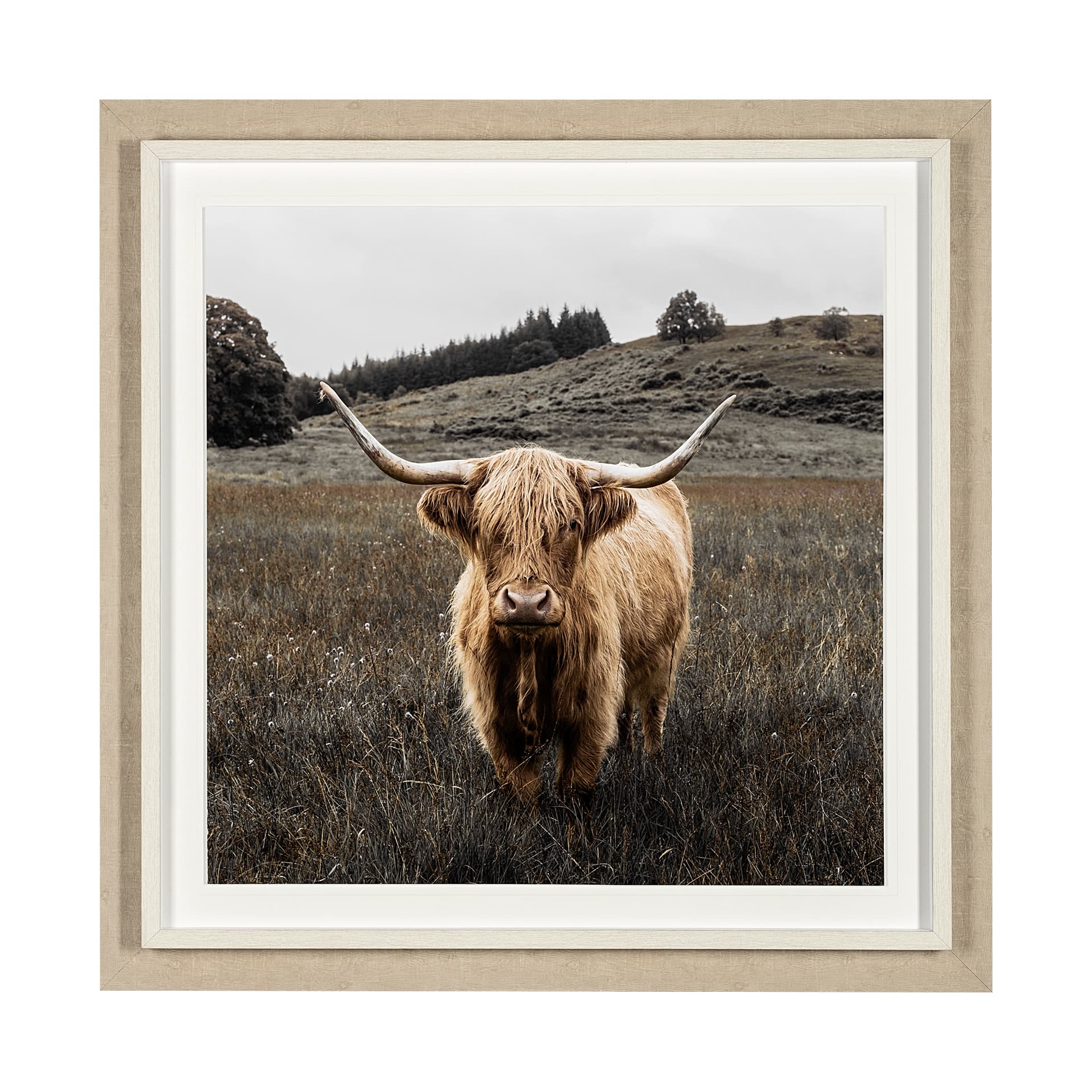 Bernie by Assaf Frank a Framed Photo Art Print Matted under Glass — product photograph