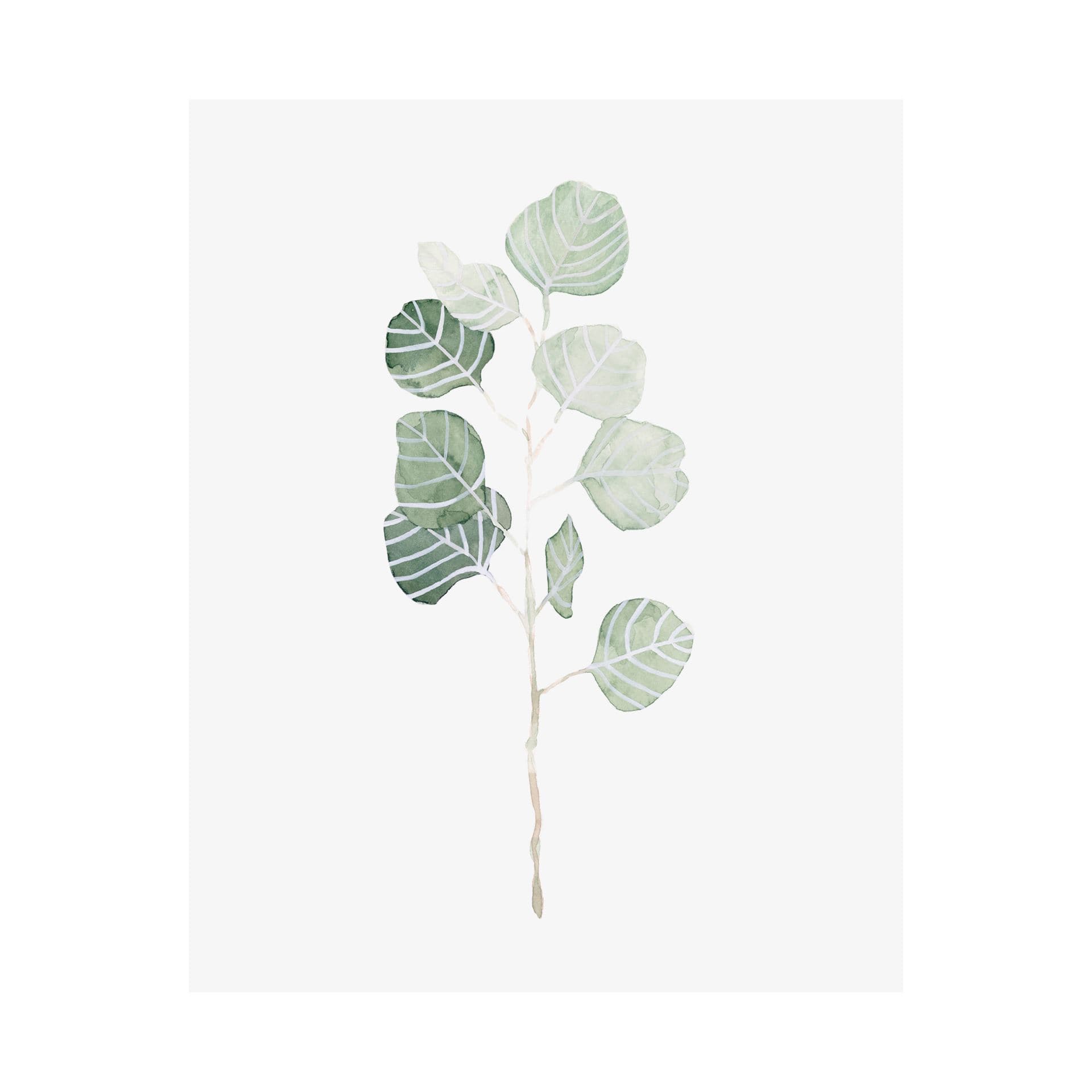 Soft Eucalyptus Branch I by Emma Scarvey a Hand Embellished Textured Canvas — product photograph