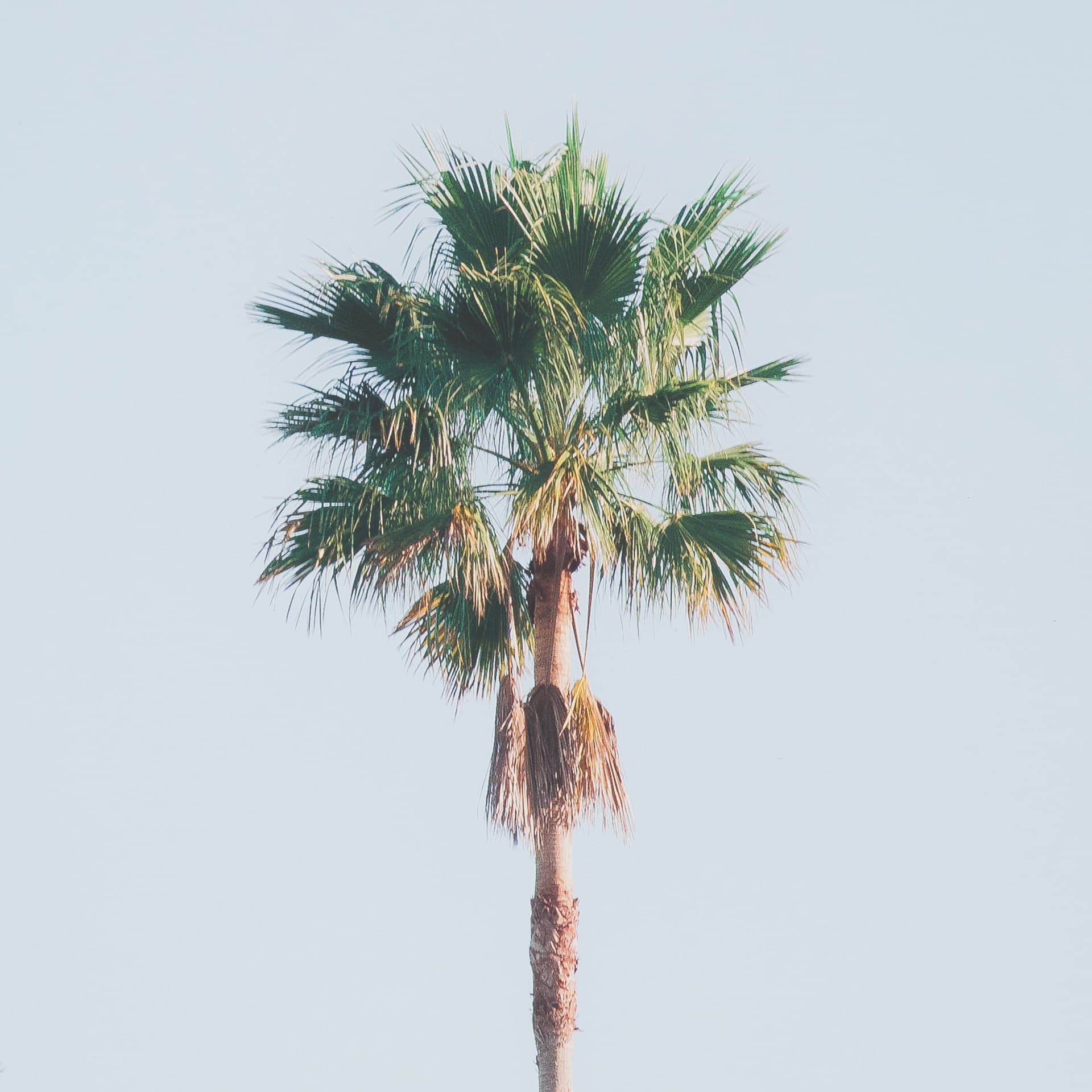 Diving Ladies by Kathrin Pienaar Framed Photo Print Matted under Glass — product photograph