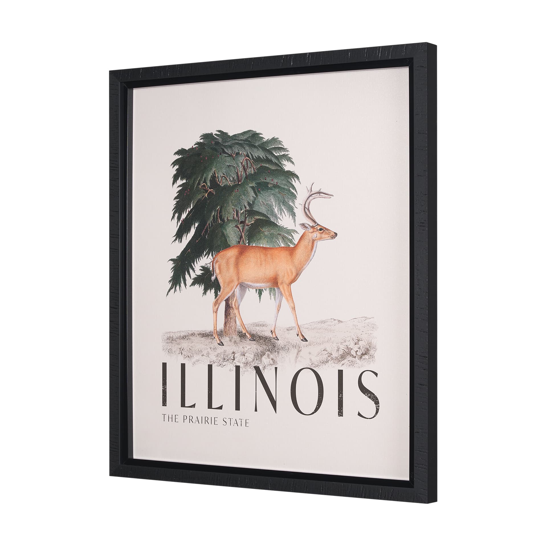 Travel Guide - Illinois by Vintage Collection a Hand Embellished Textured Framed Art Print — product photograph