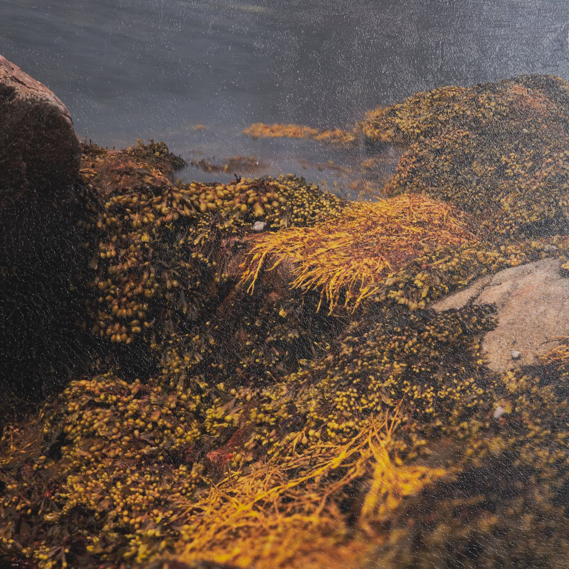 Fogo Island by Chad Mackay a Hand Embellished Framed Photo Art Print Matted under Glass — product photograph